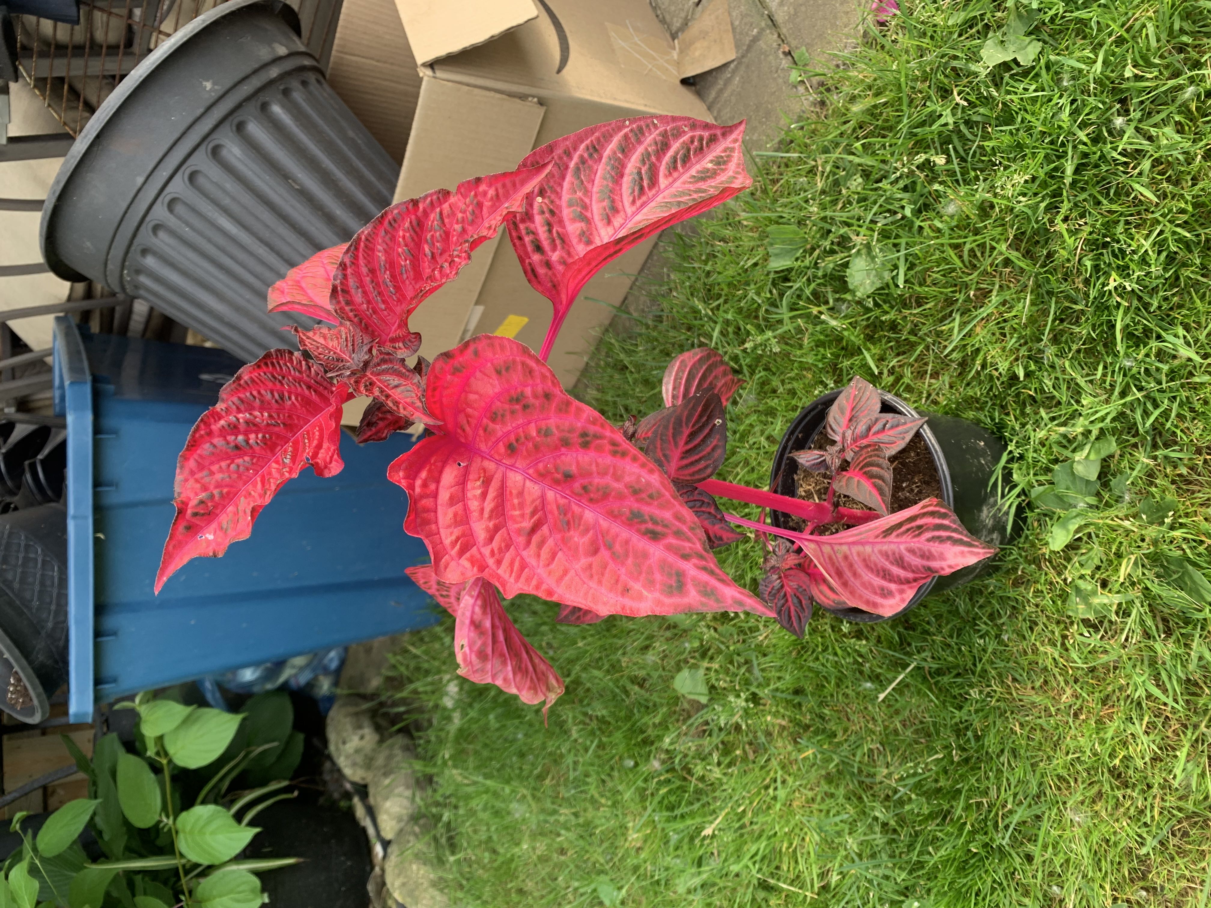 Photo from the post