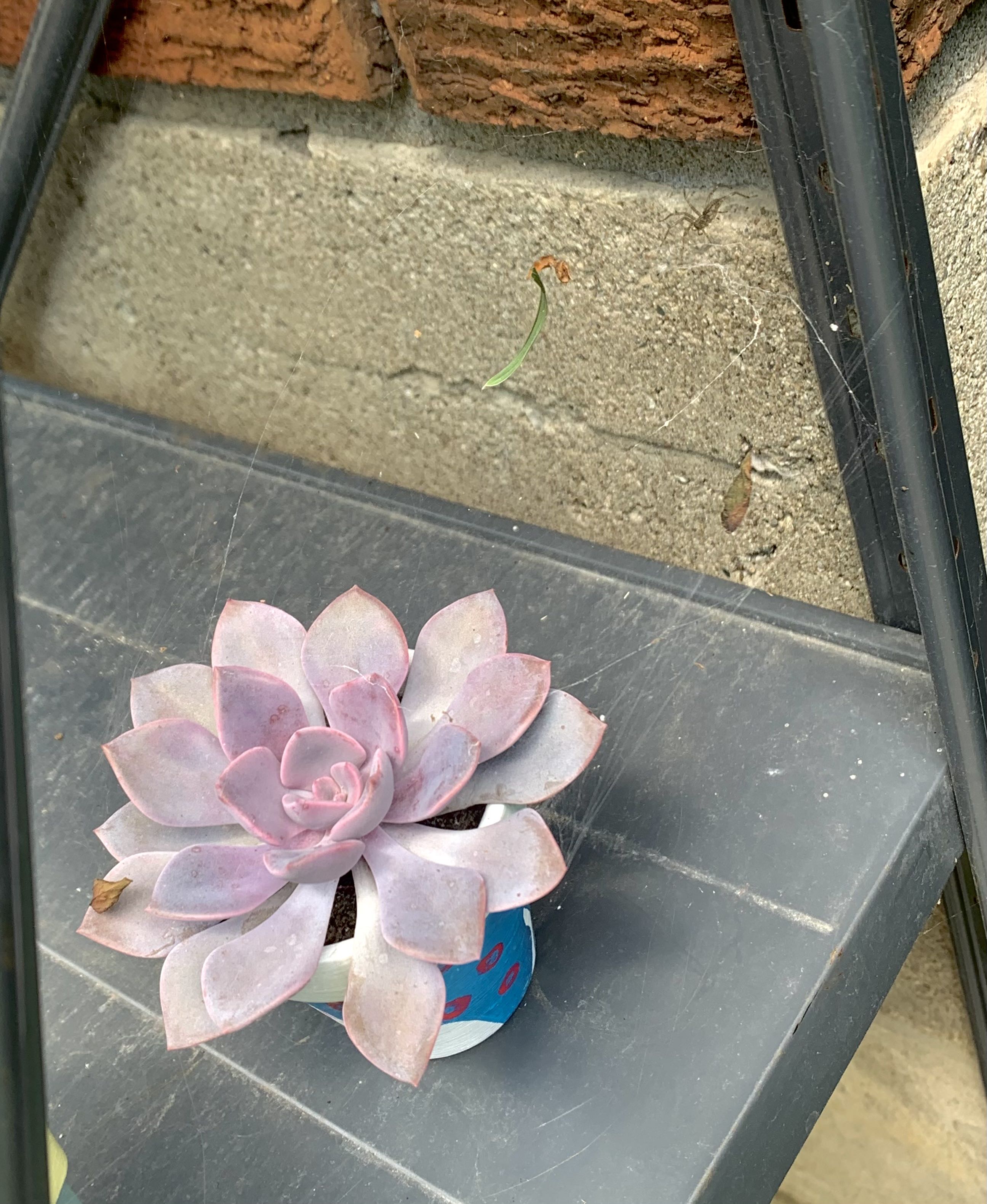 Photo from the post