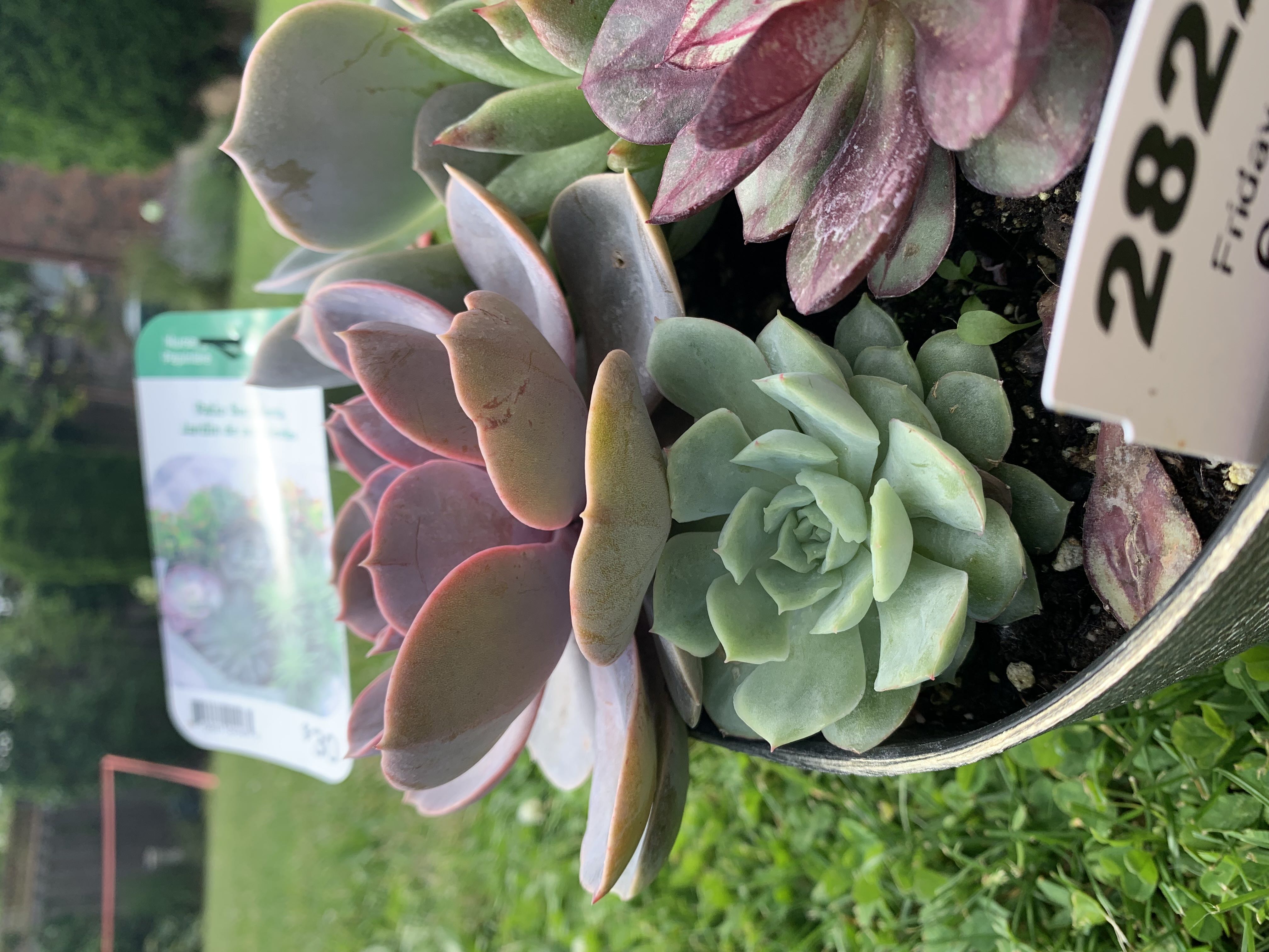 Photo from the post