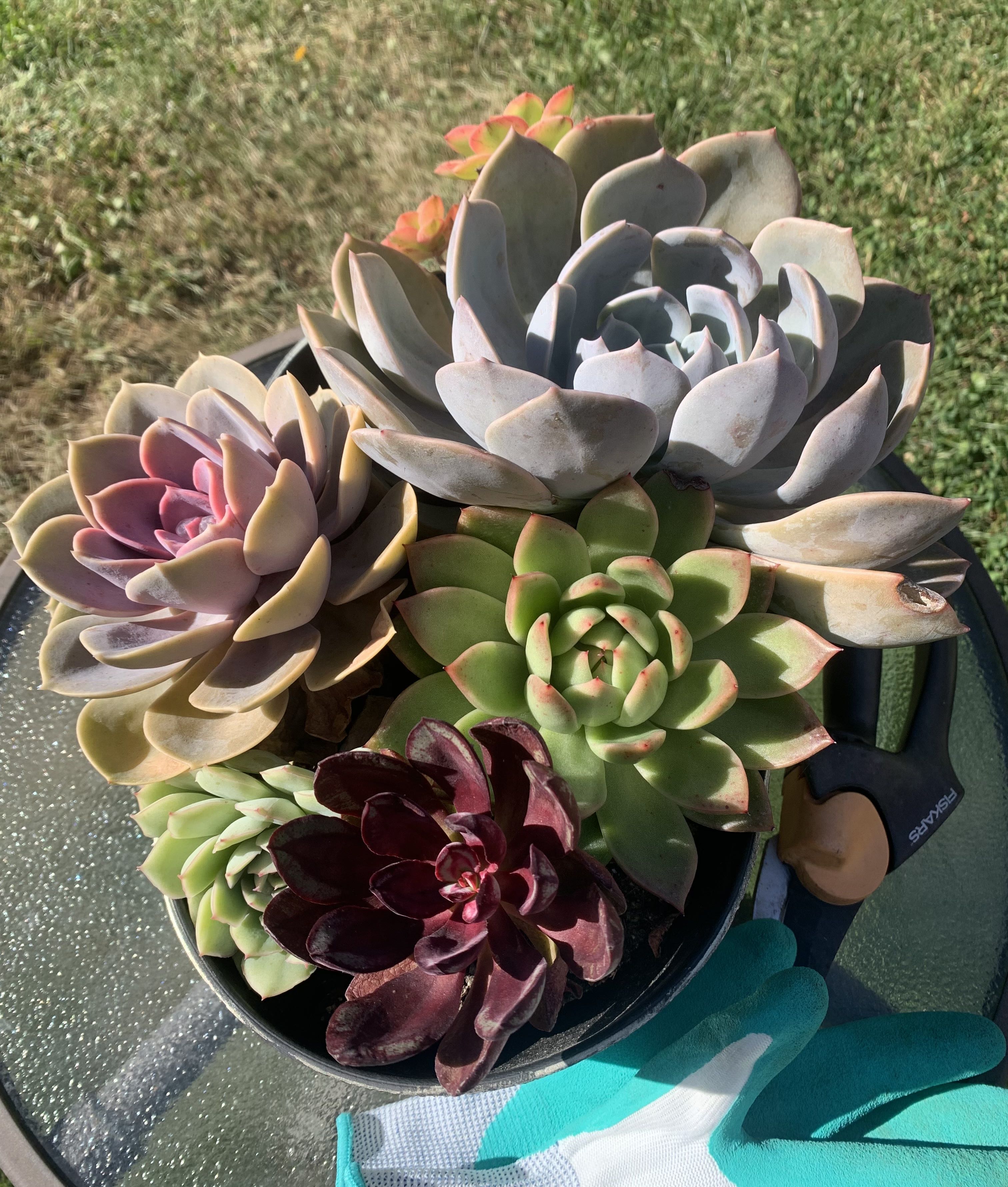 Photo from the post