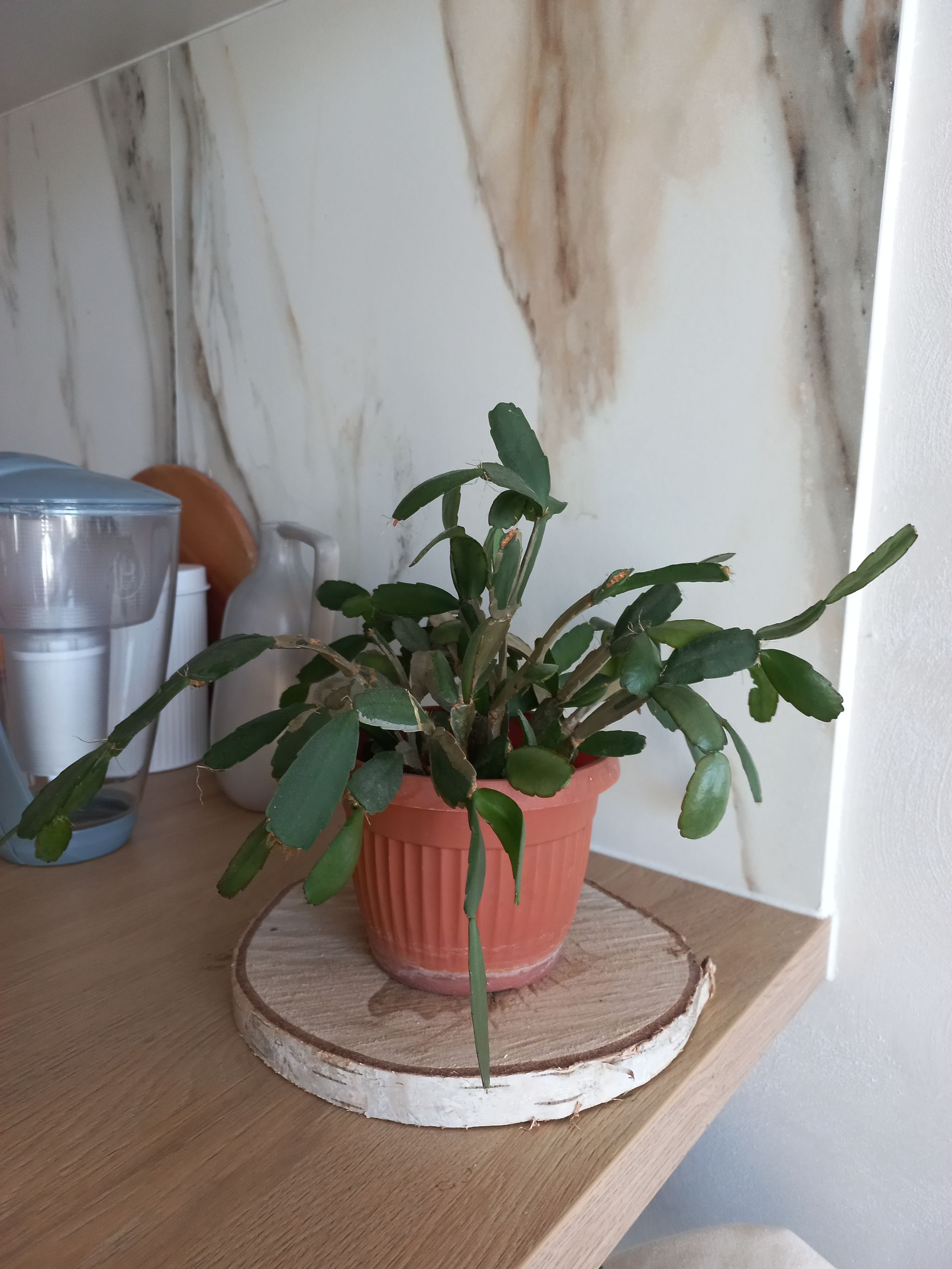 Photo from the post