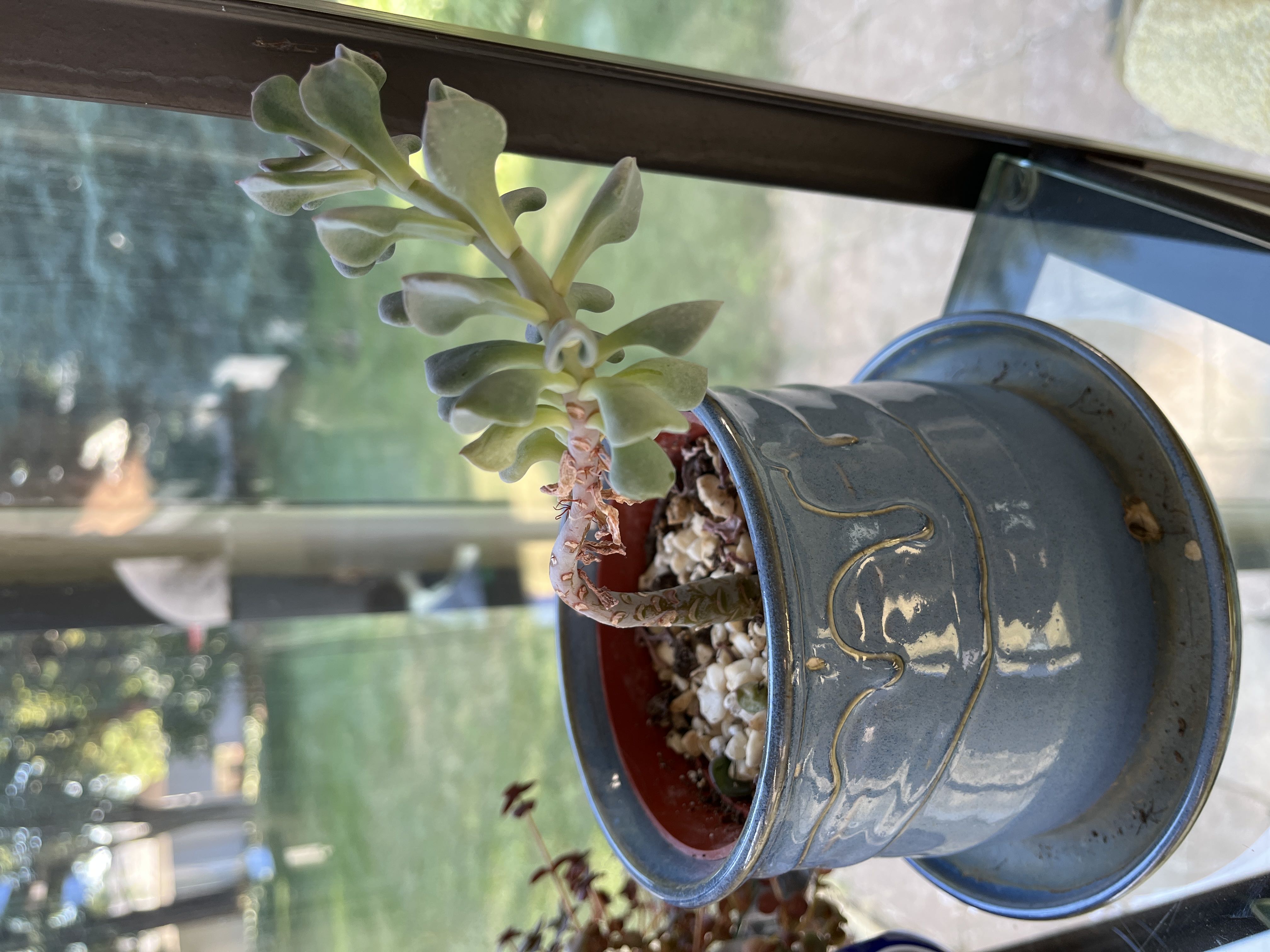Photo from the post