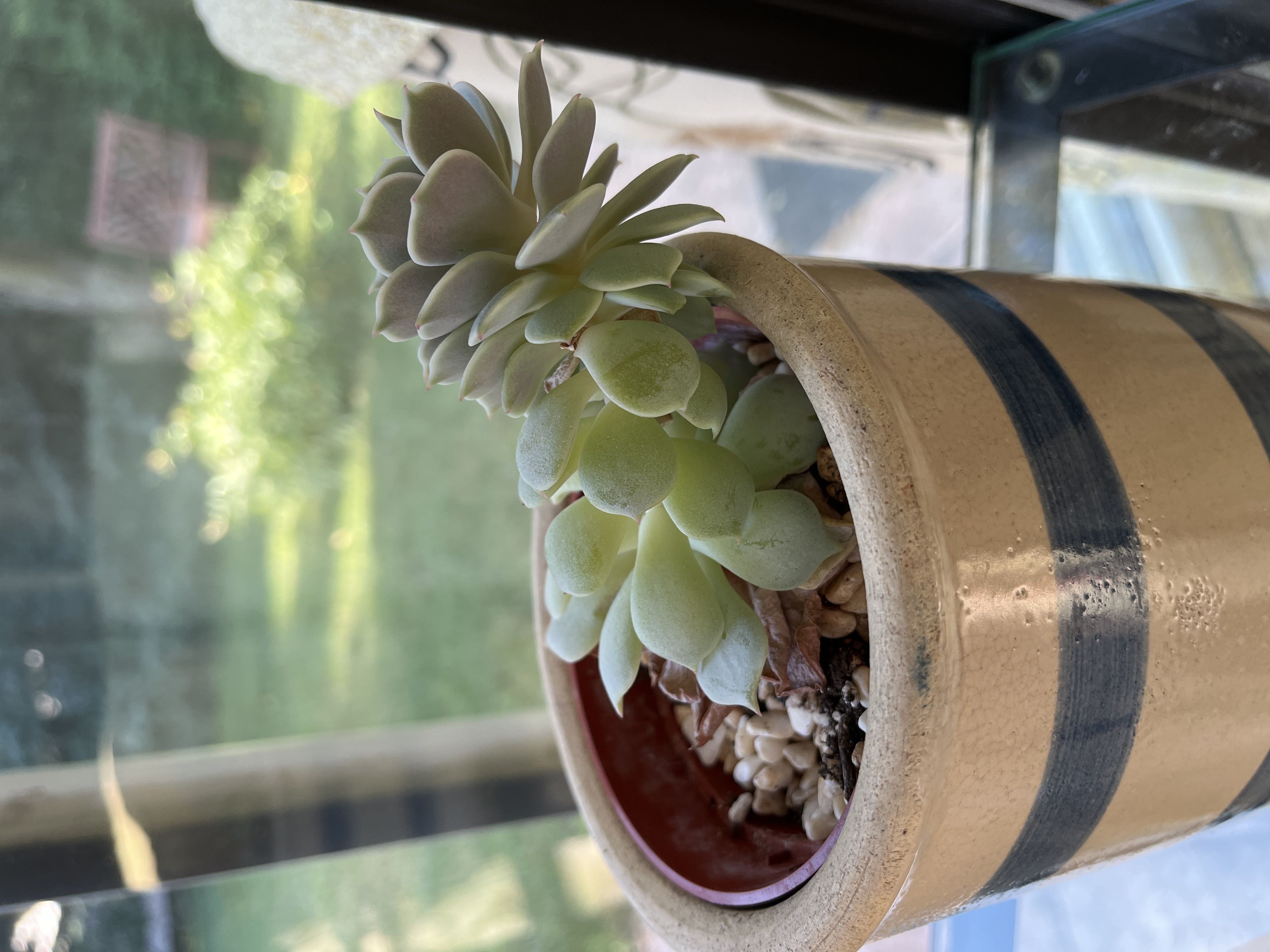 Photo from the post