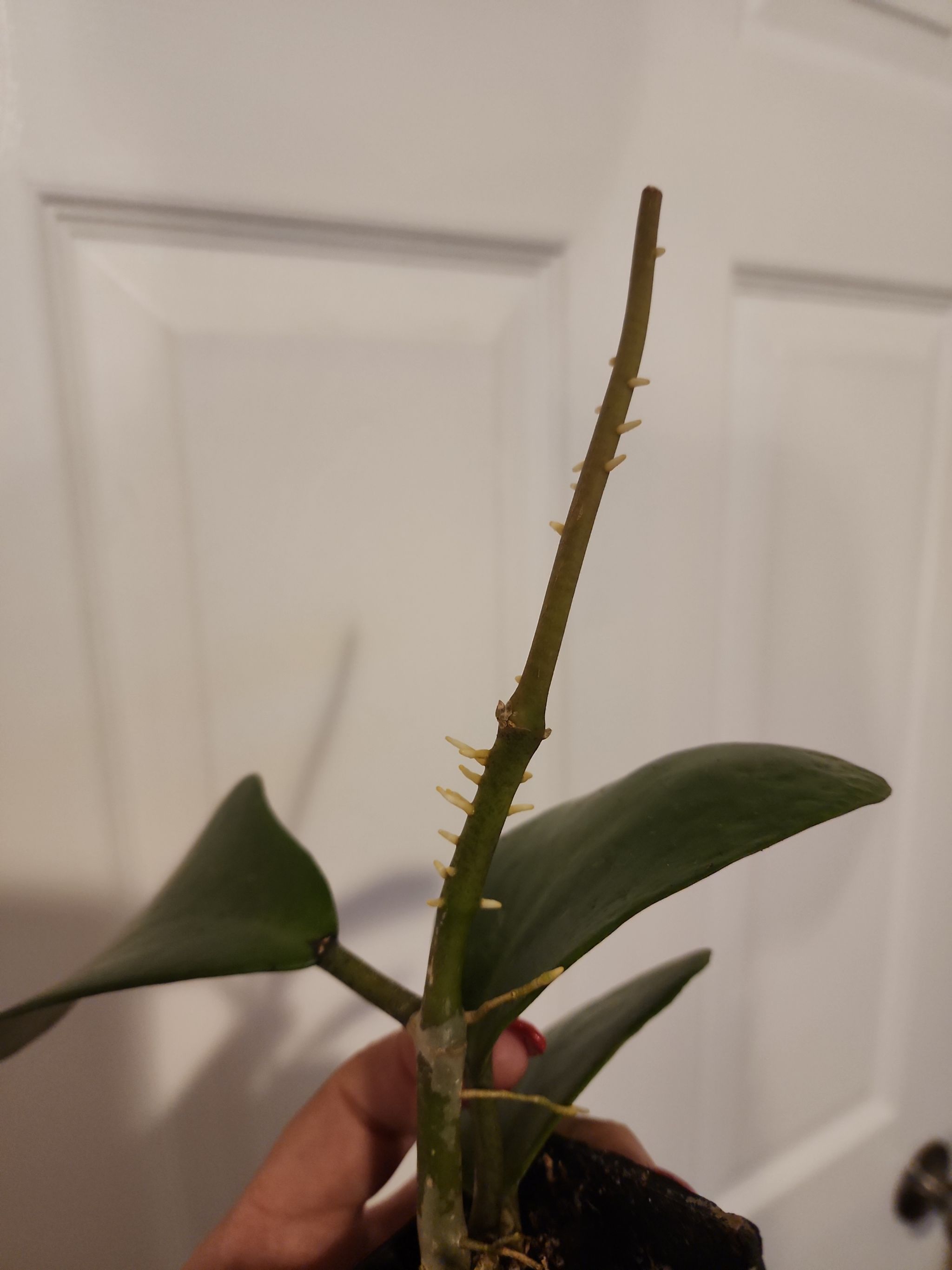 Photo from the post