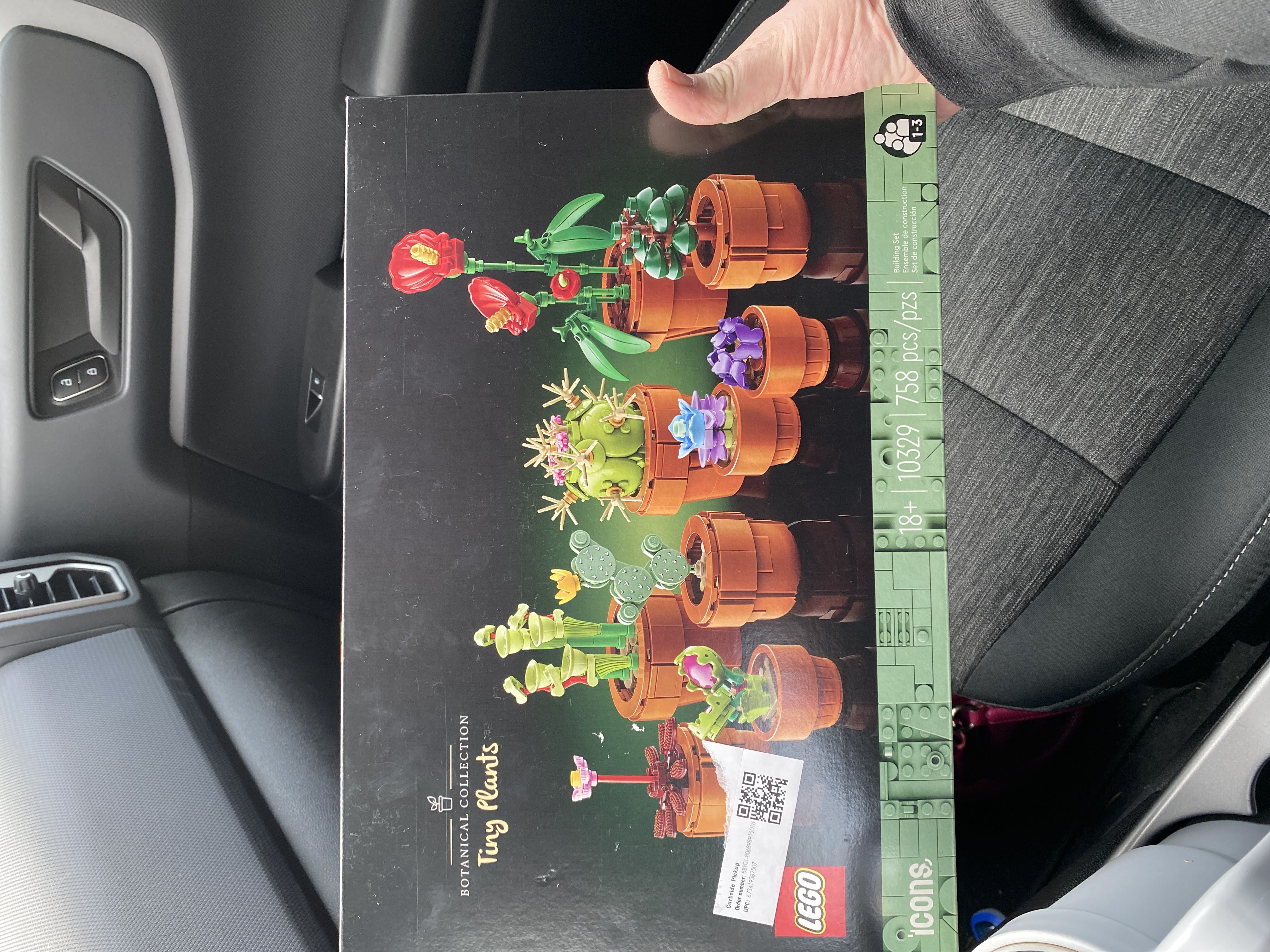 Photo from the post