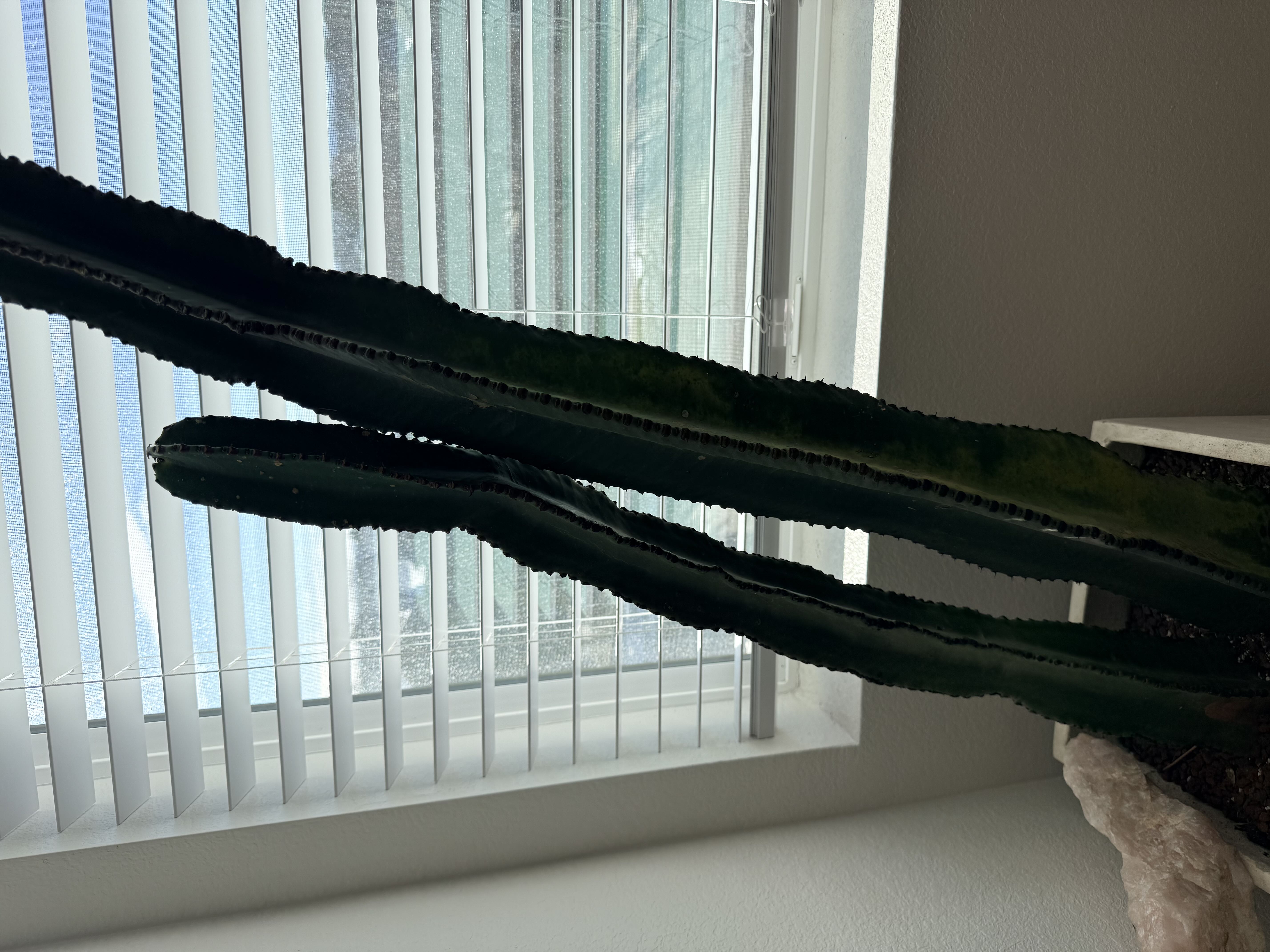 Photo from the post