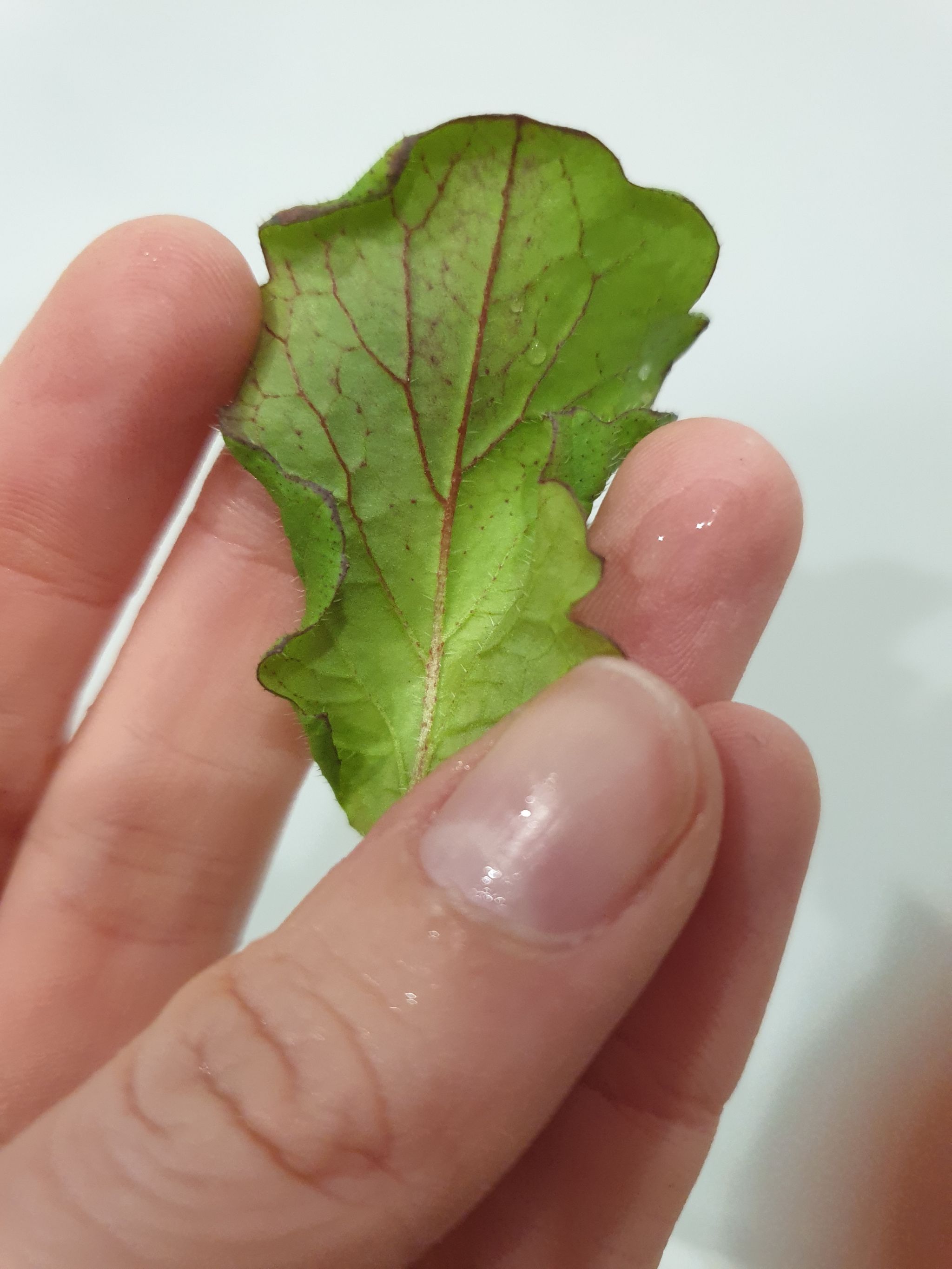 Photo from the post