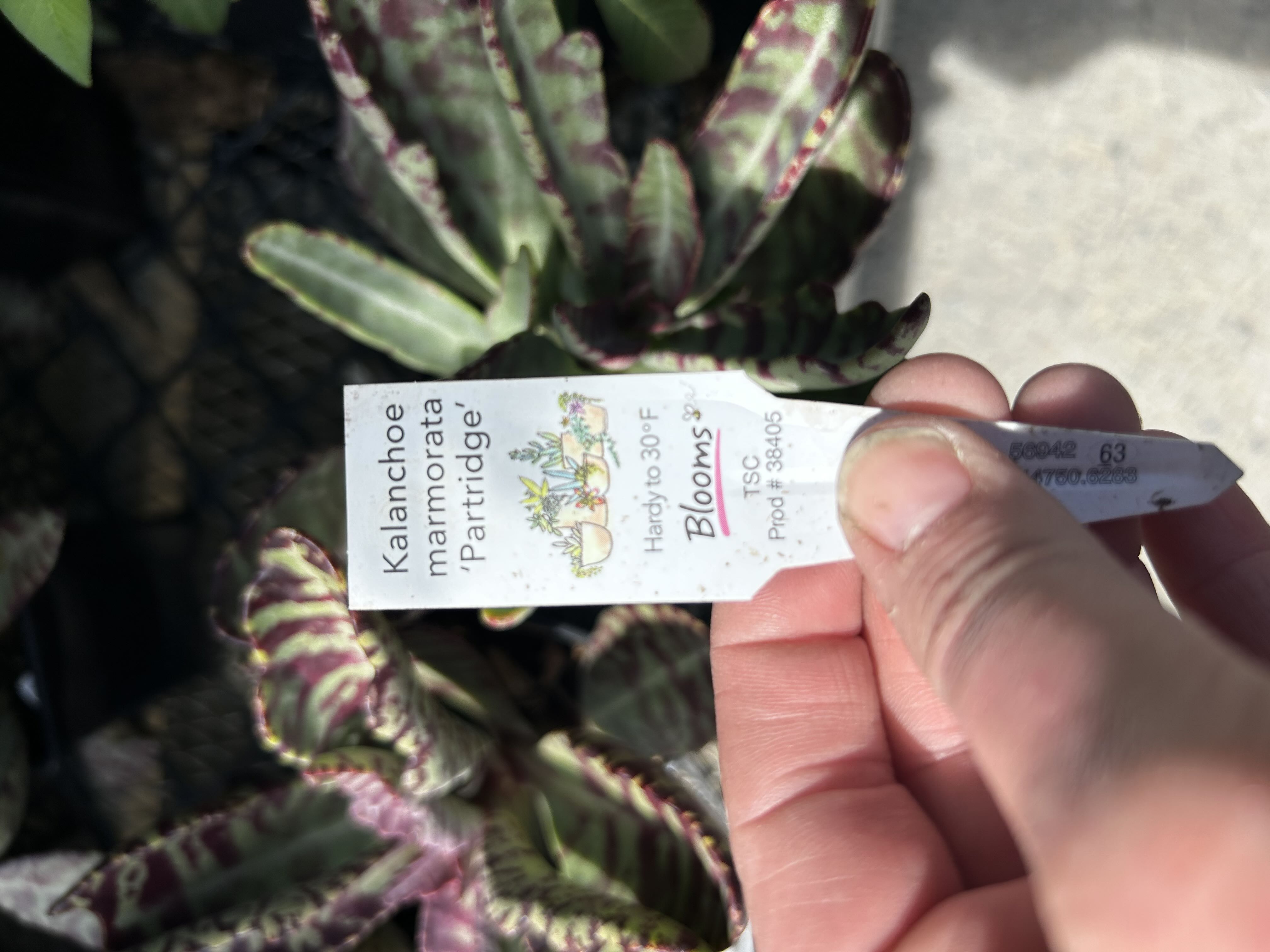 Photo from the post