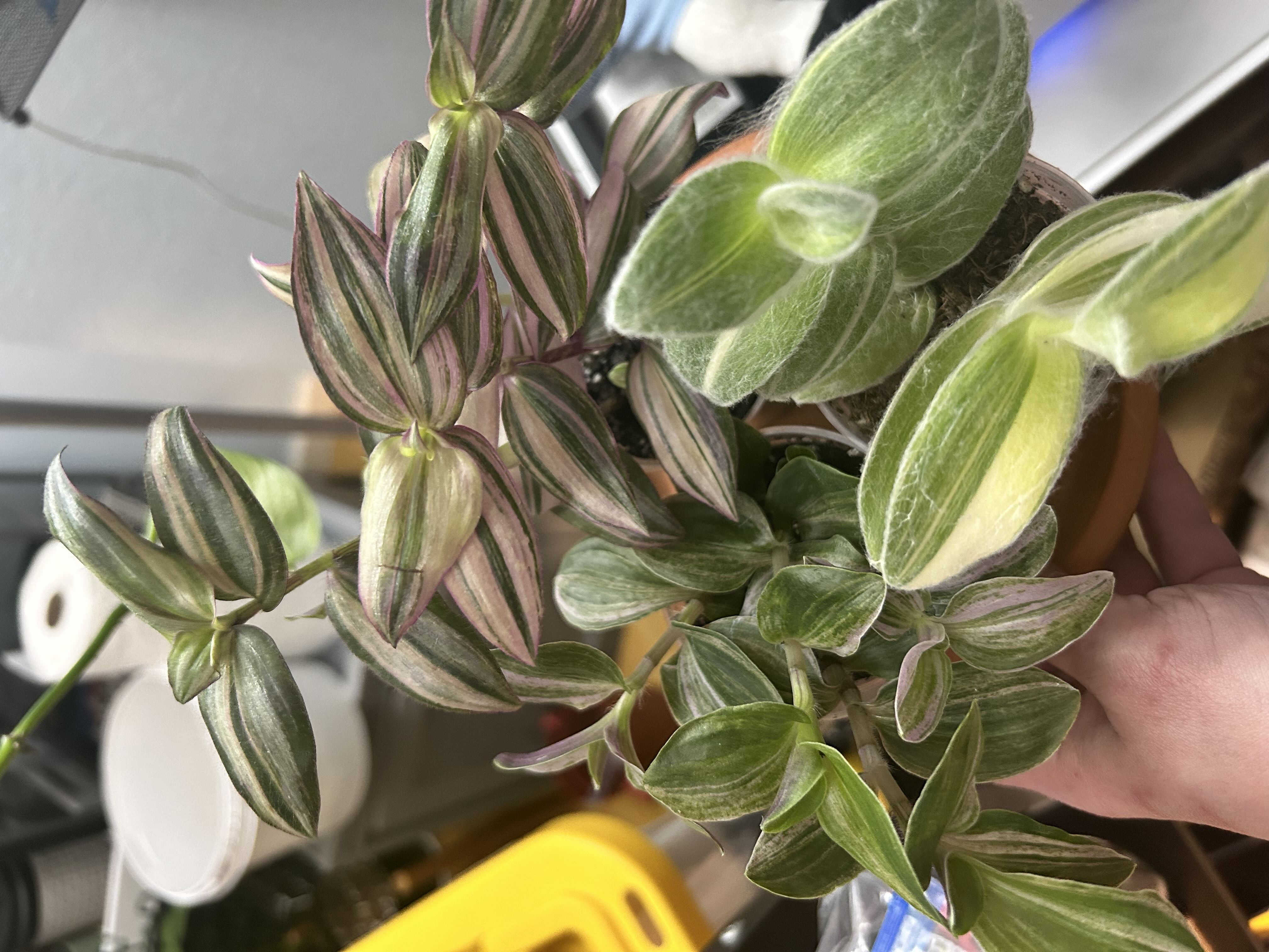 Photo from the post