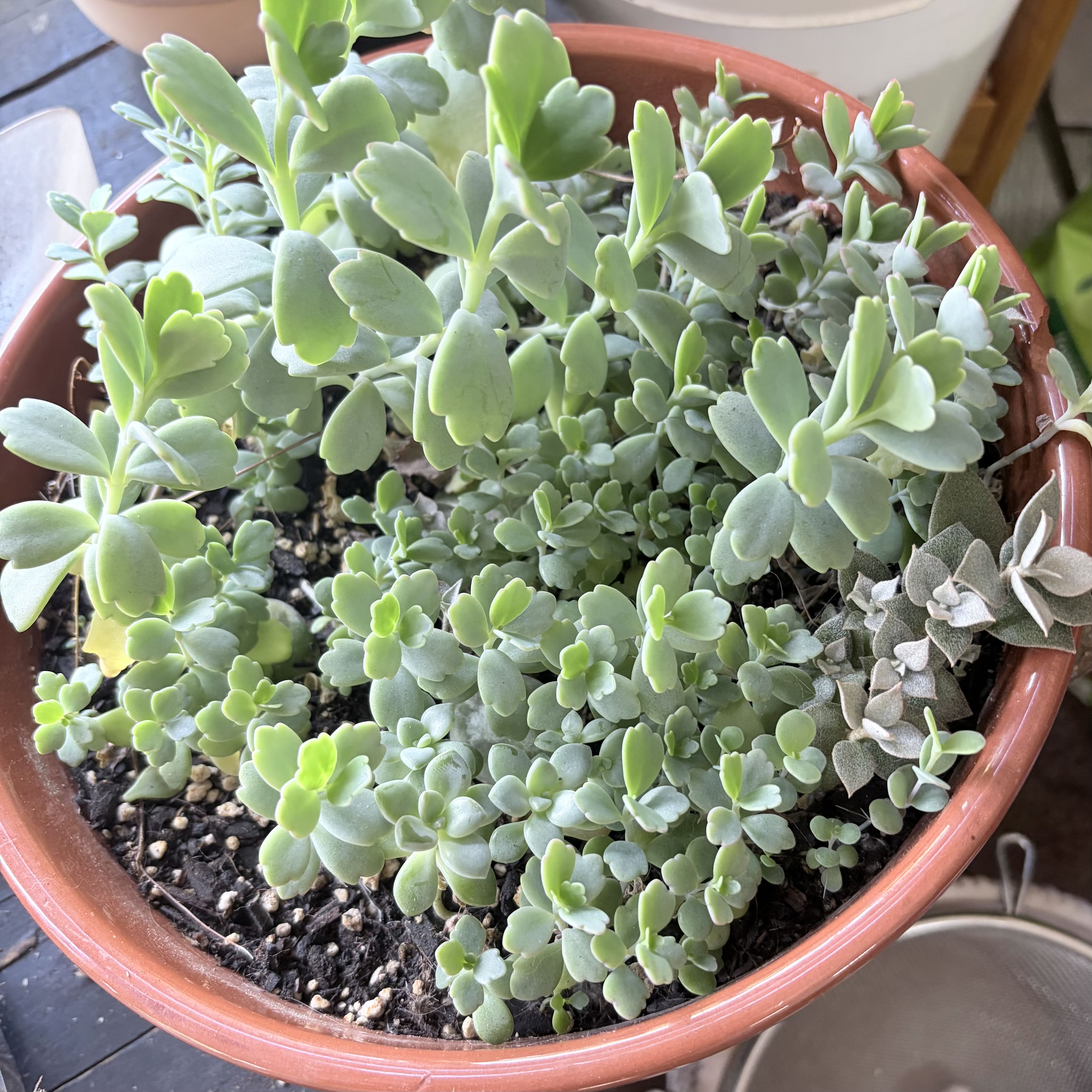 Photo from the post