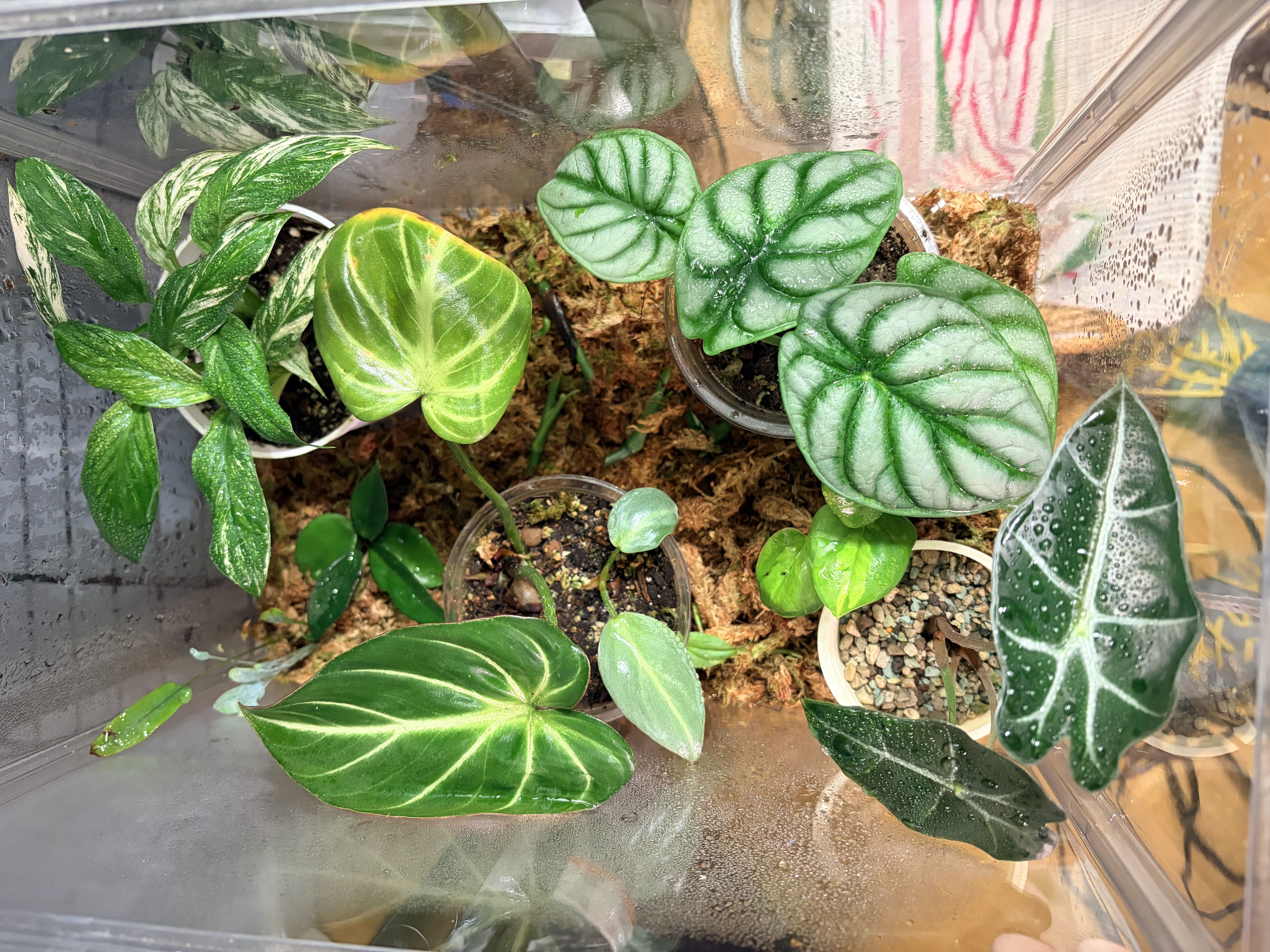 Photo from the post