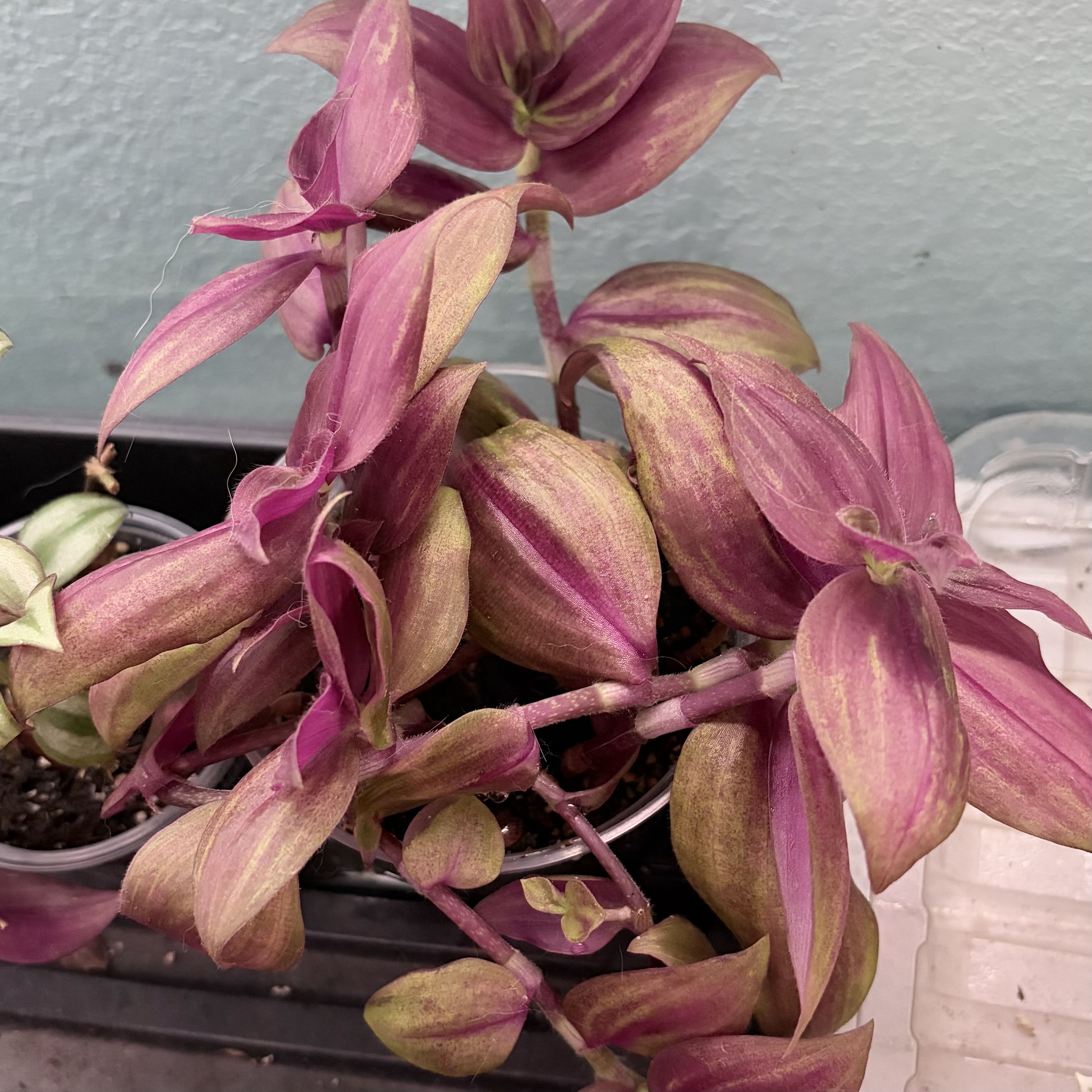 Photo from the post