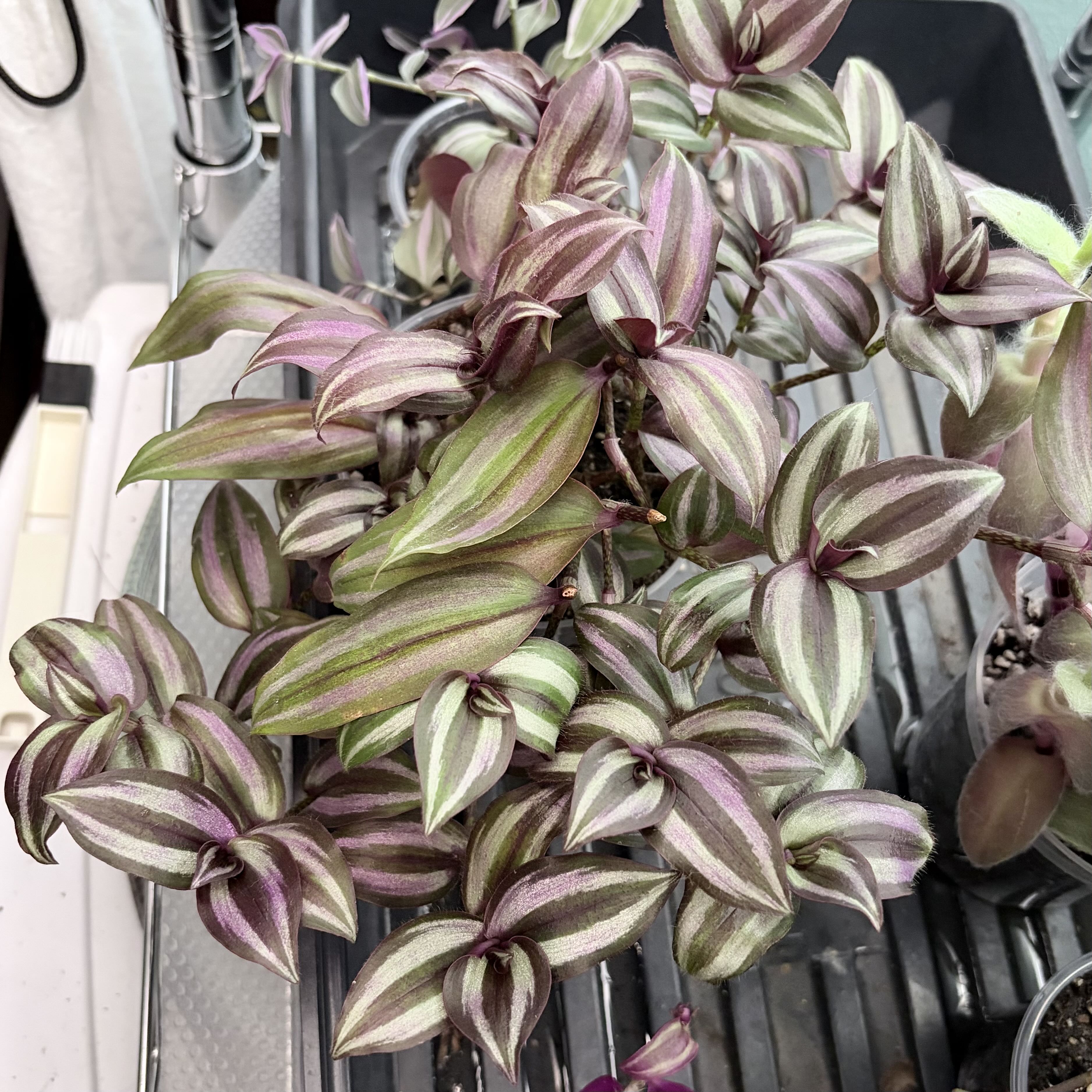 Photo from the post