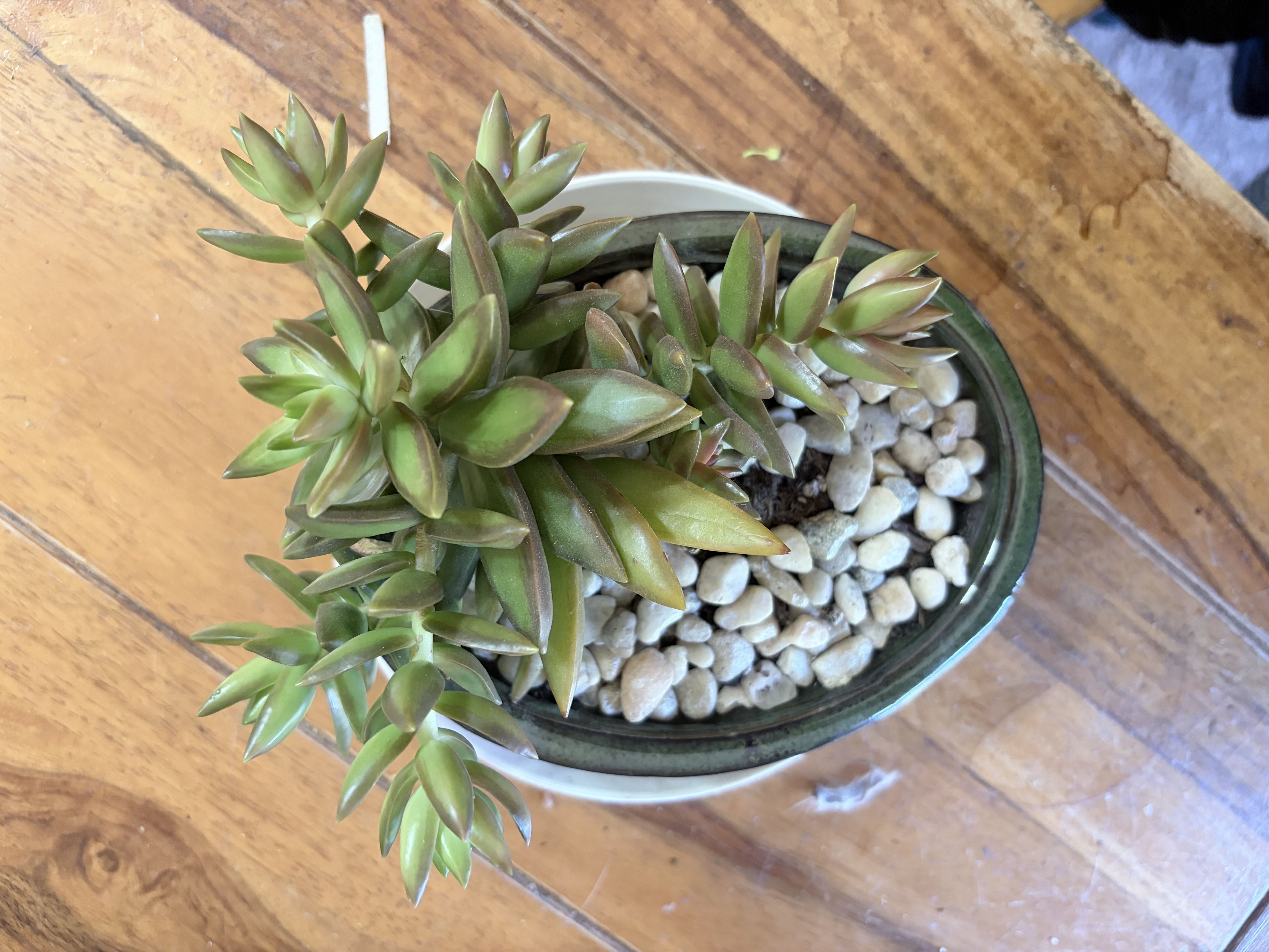 Photo from the post