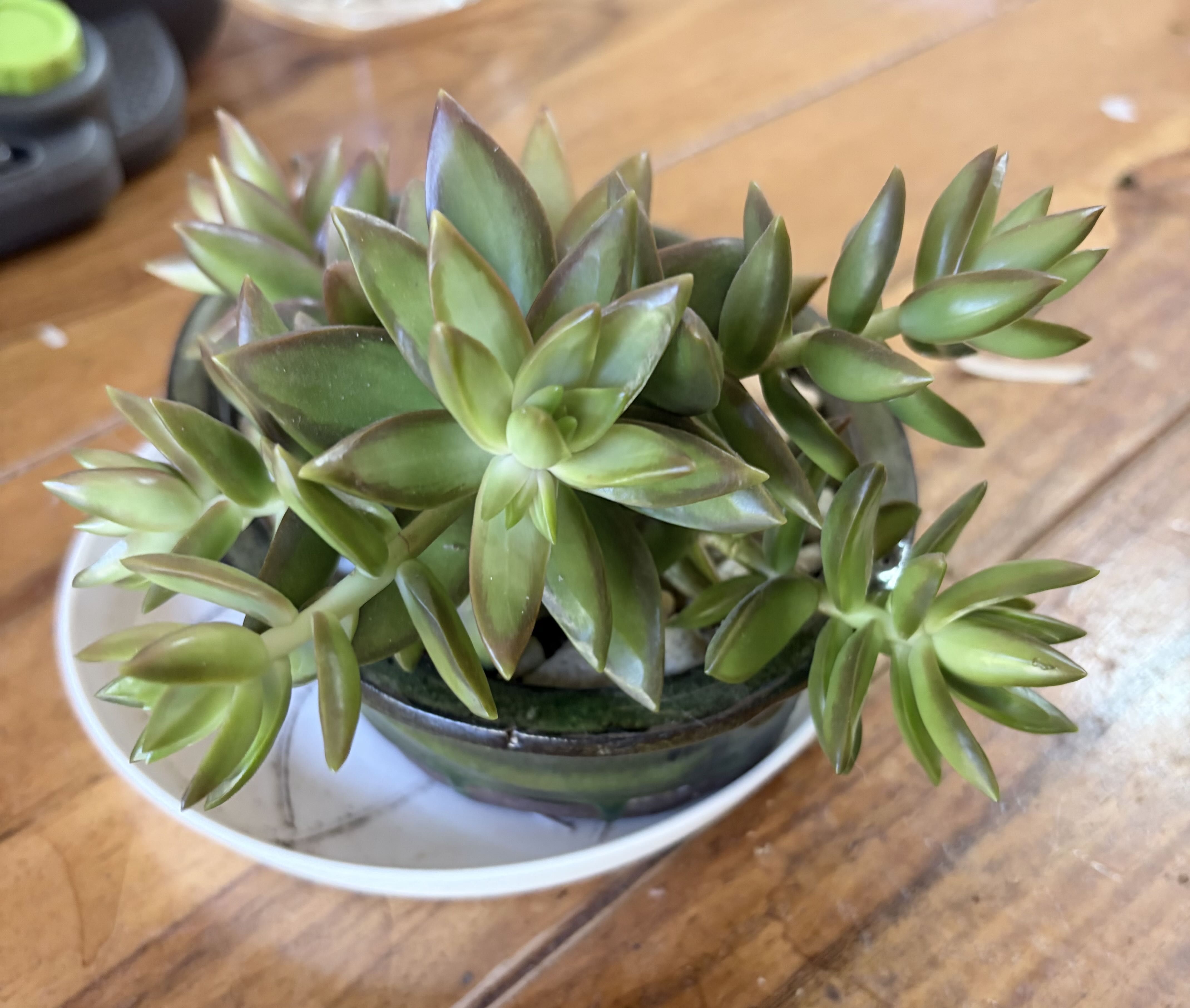 Photo from the post