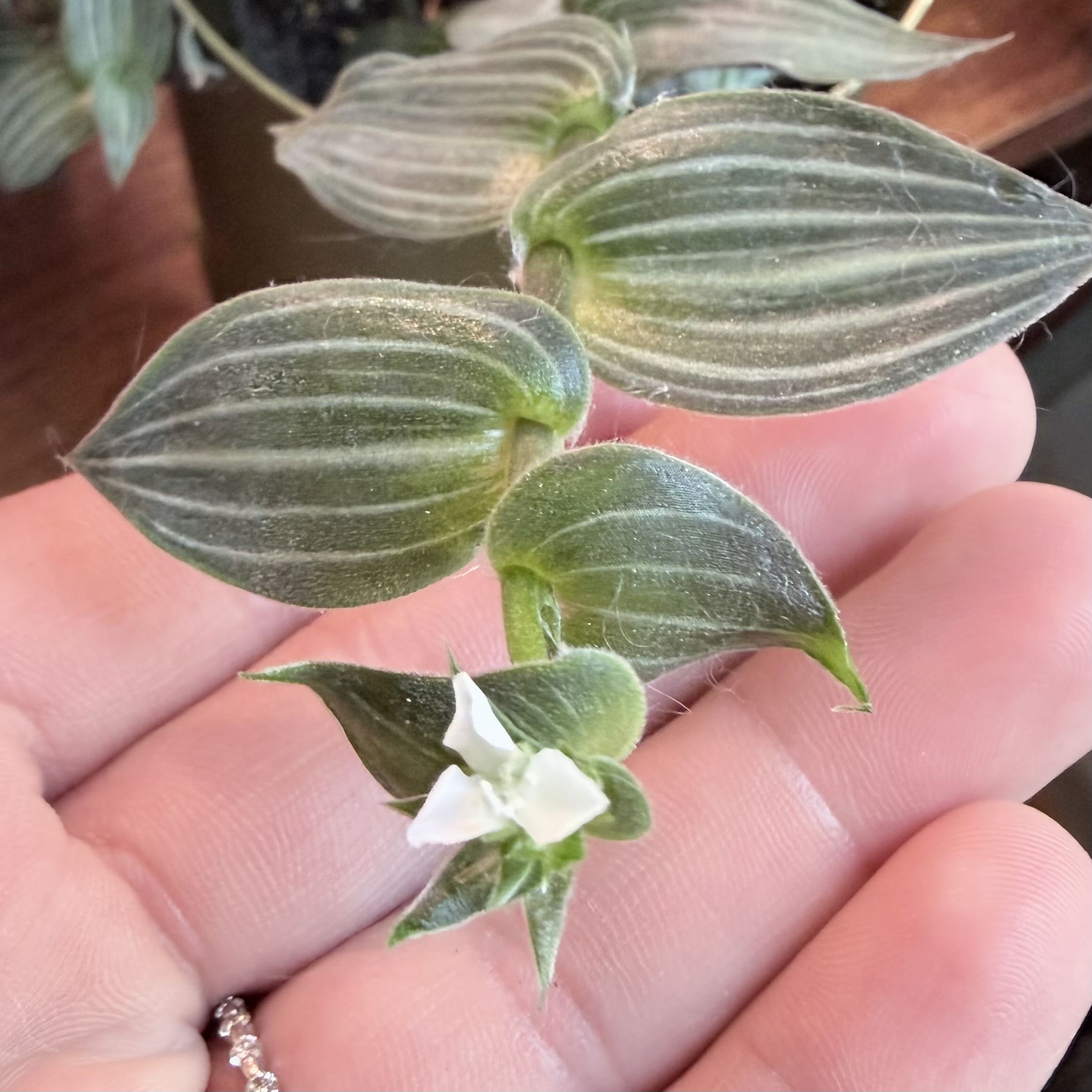 Photo from the post