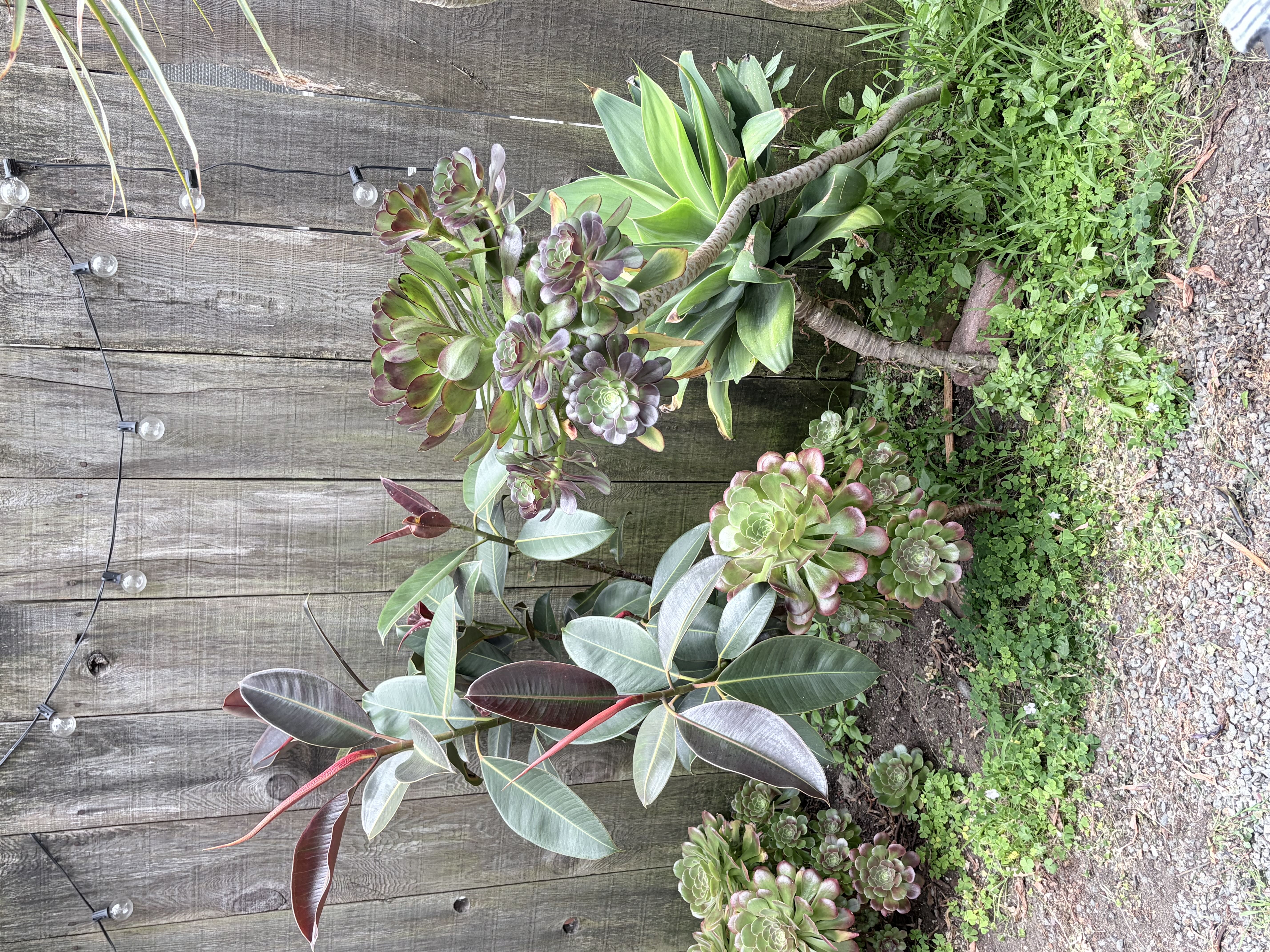 Photo from the post