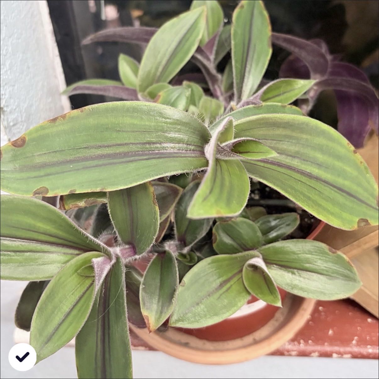 Photo from the post