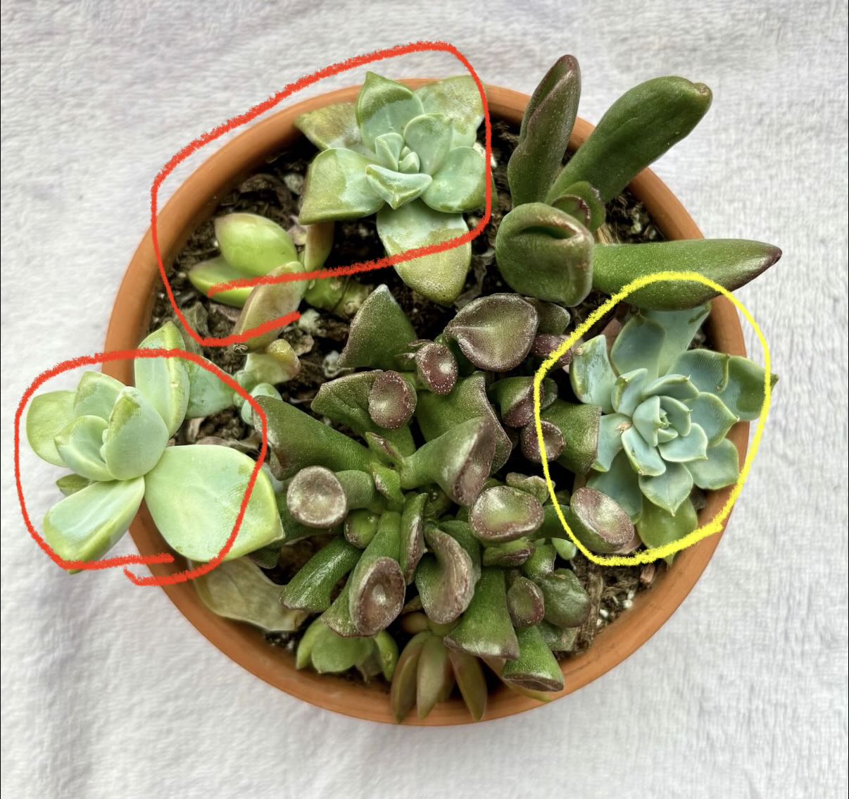 Photo from the post