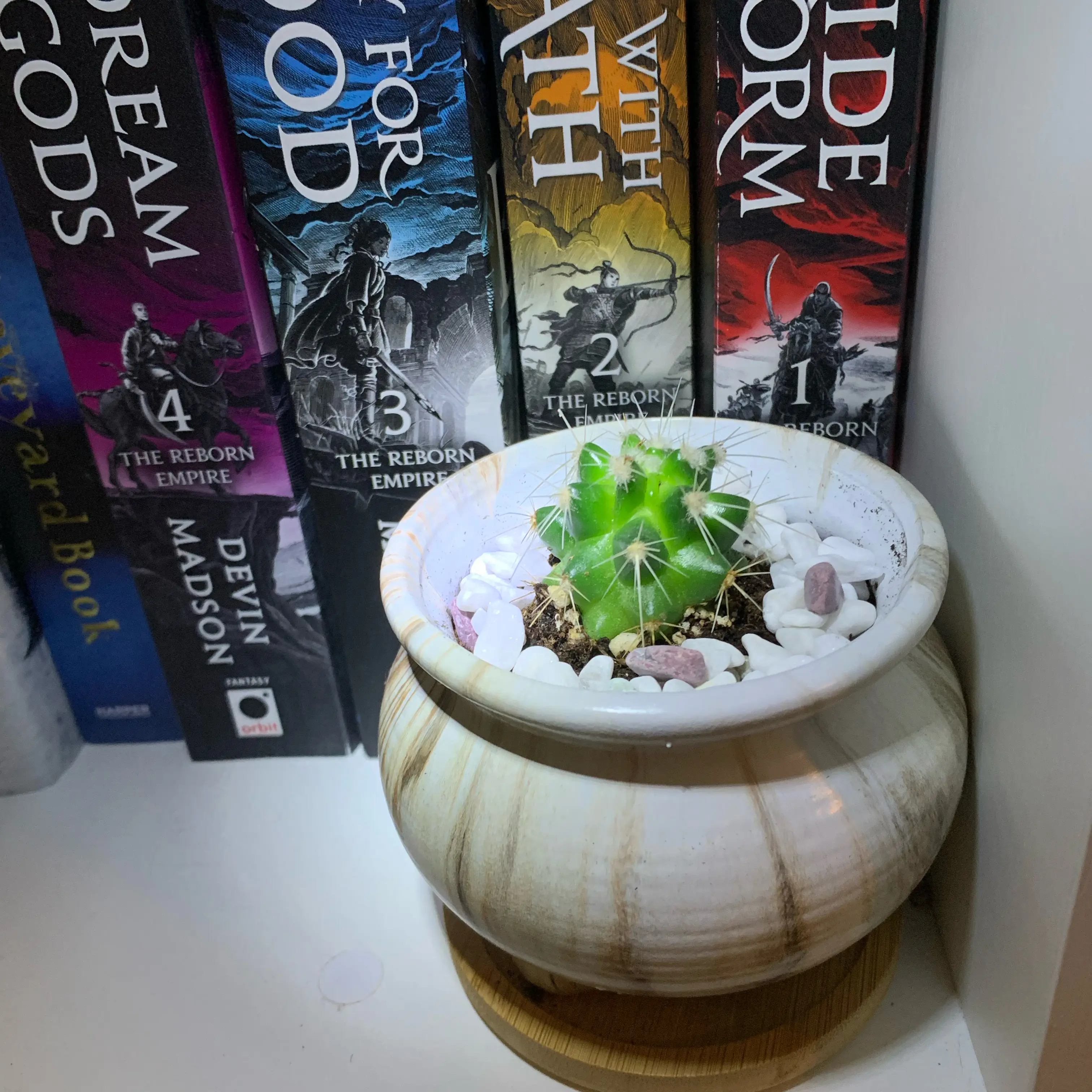 Photo of the plant species Thelocactus rinconensis by @AngelNinebark named Navajo on Greg, the plant care app