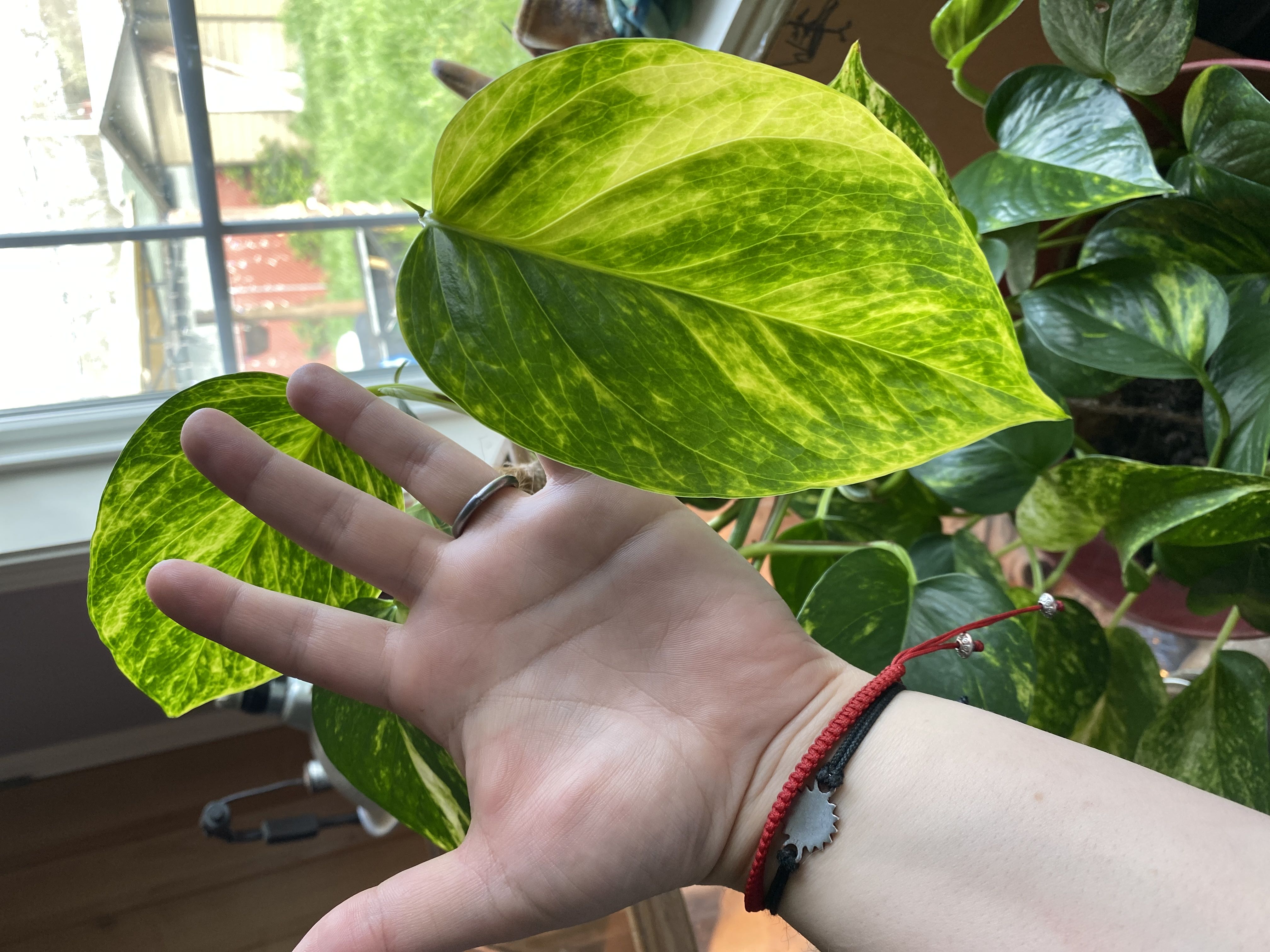Photo from the post