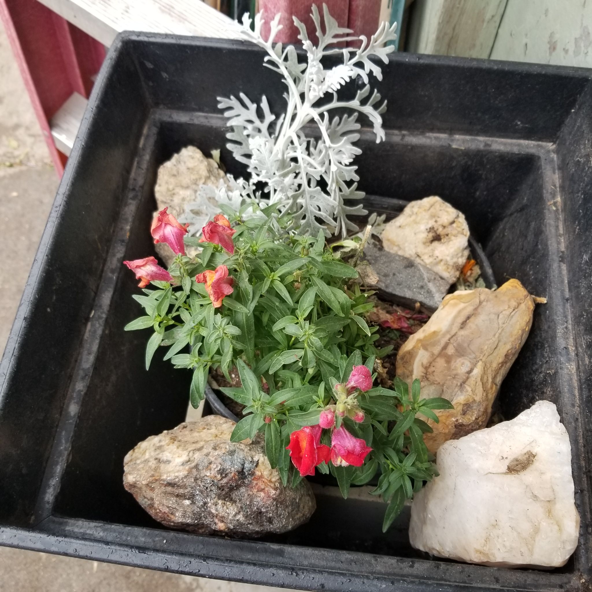 Photo from the post