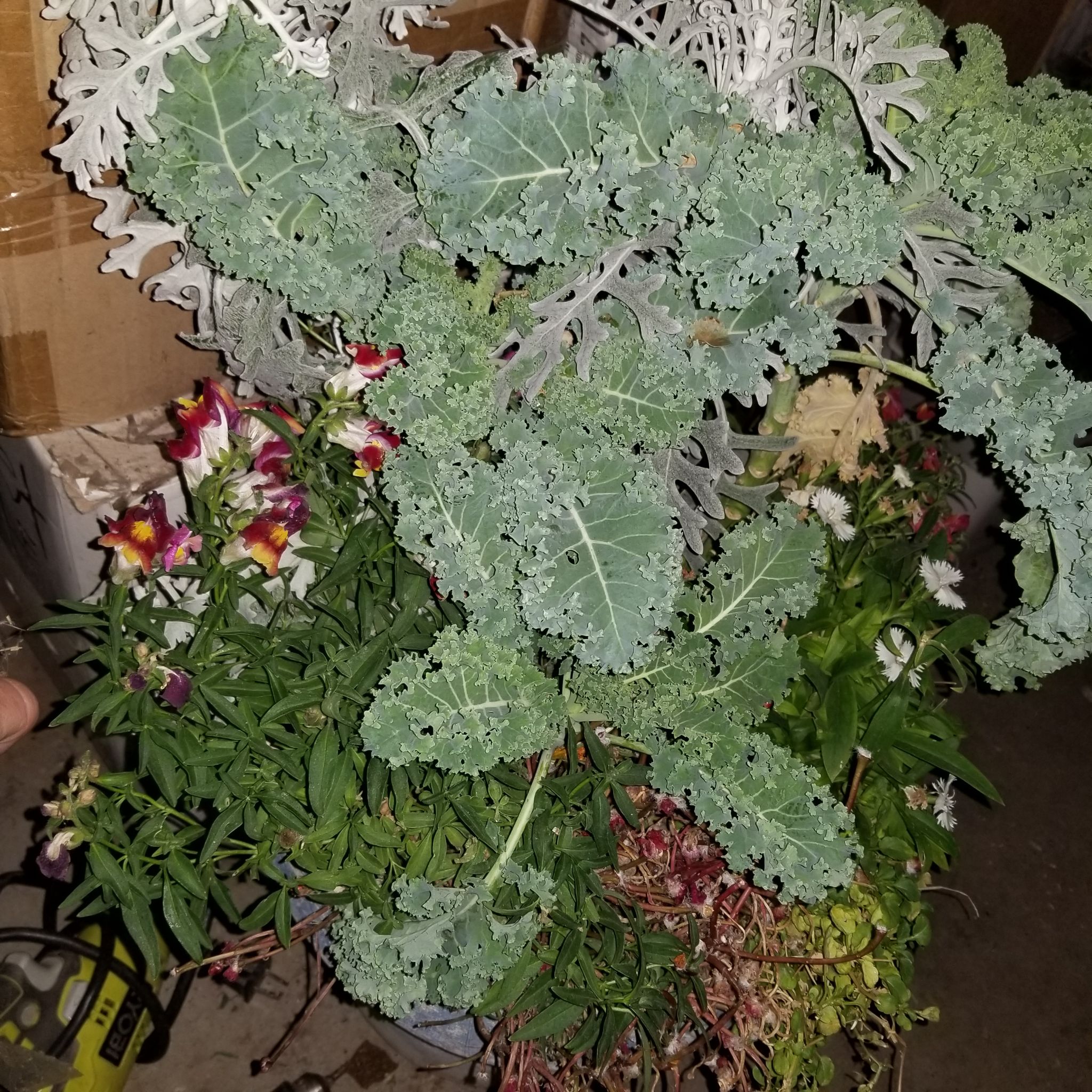 Photo from the post