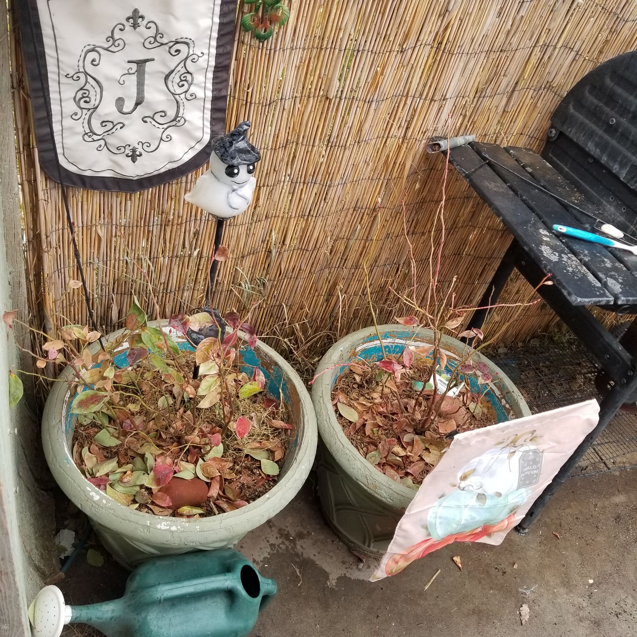 Photo from the post