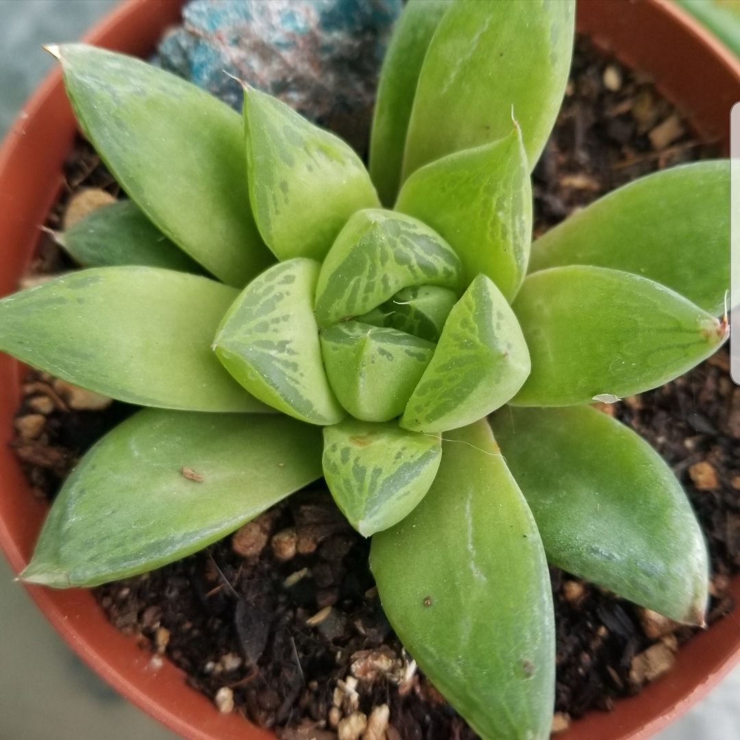 Photo from the post