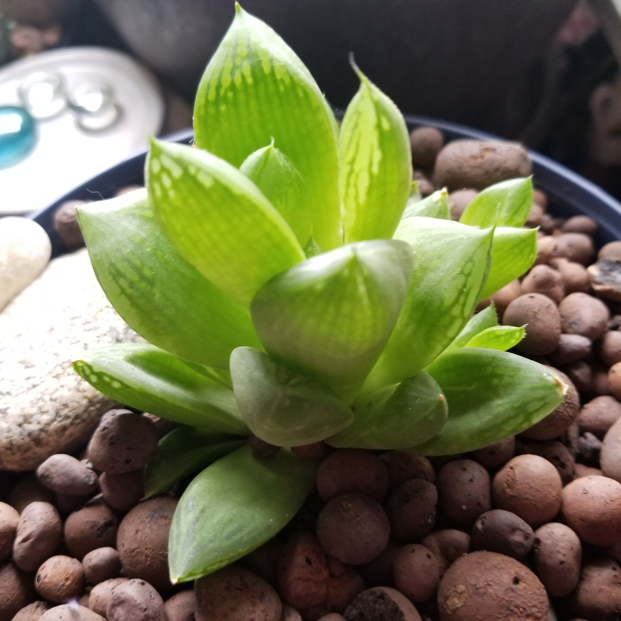 Photo from the post