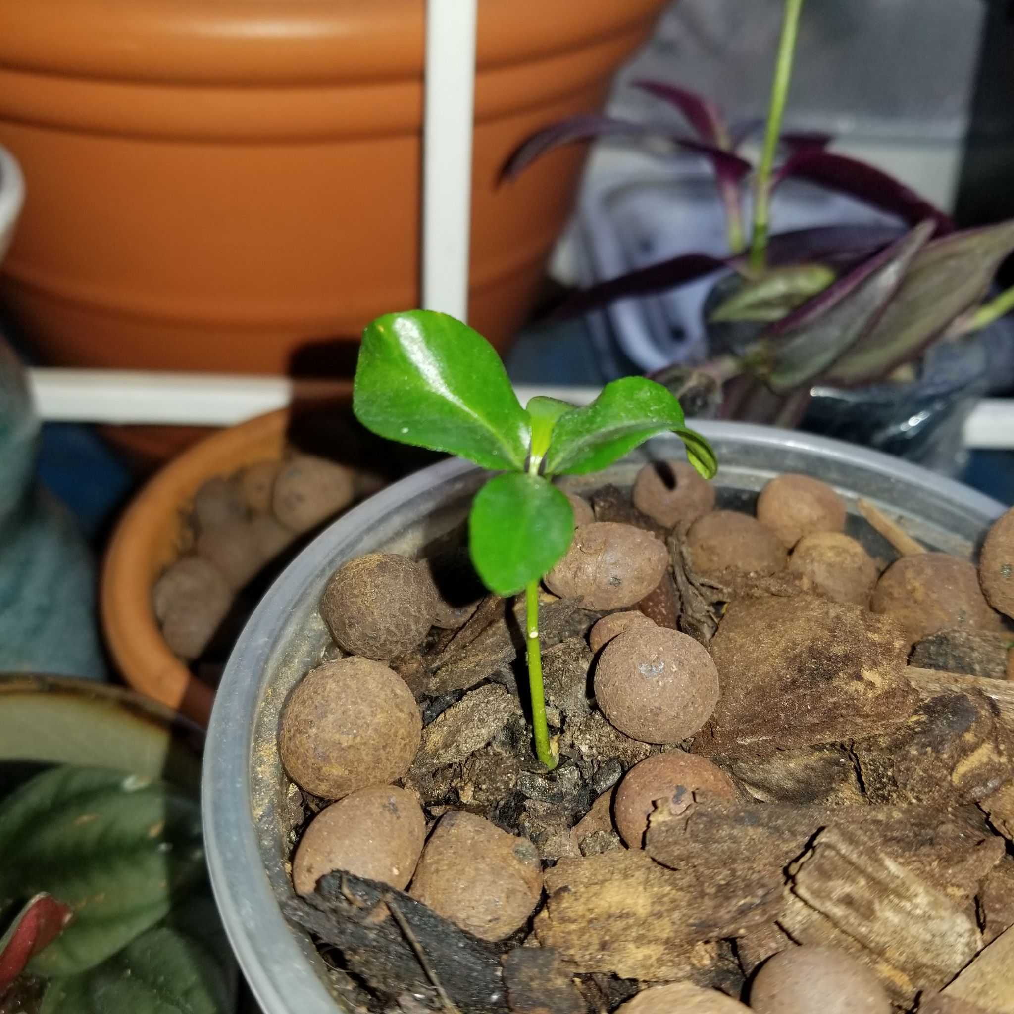 Photo from the post