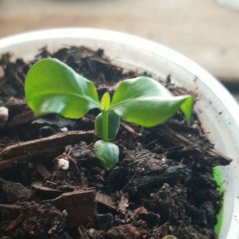 Photo from the post