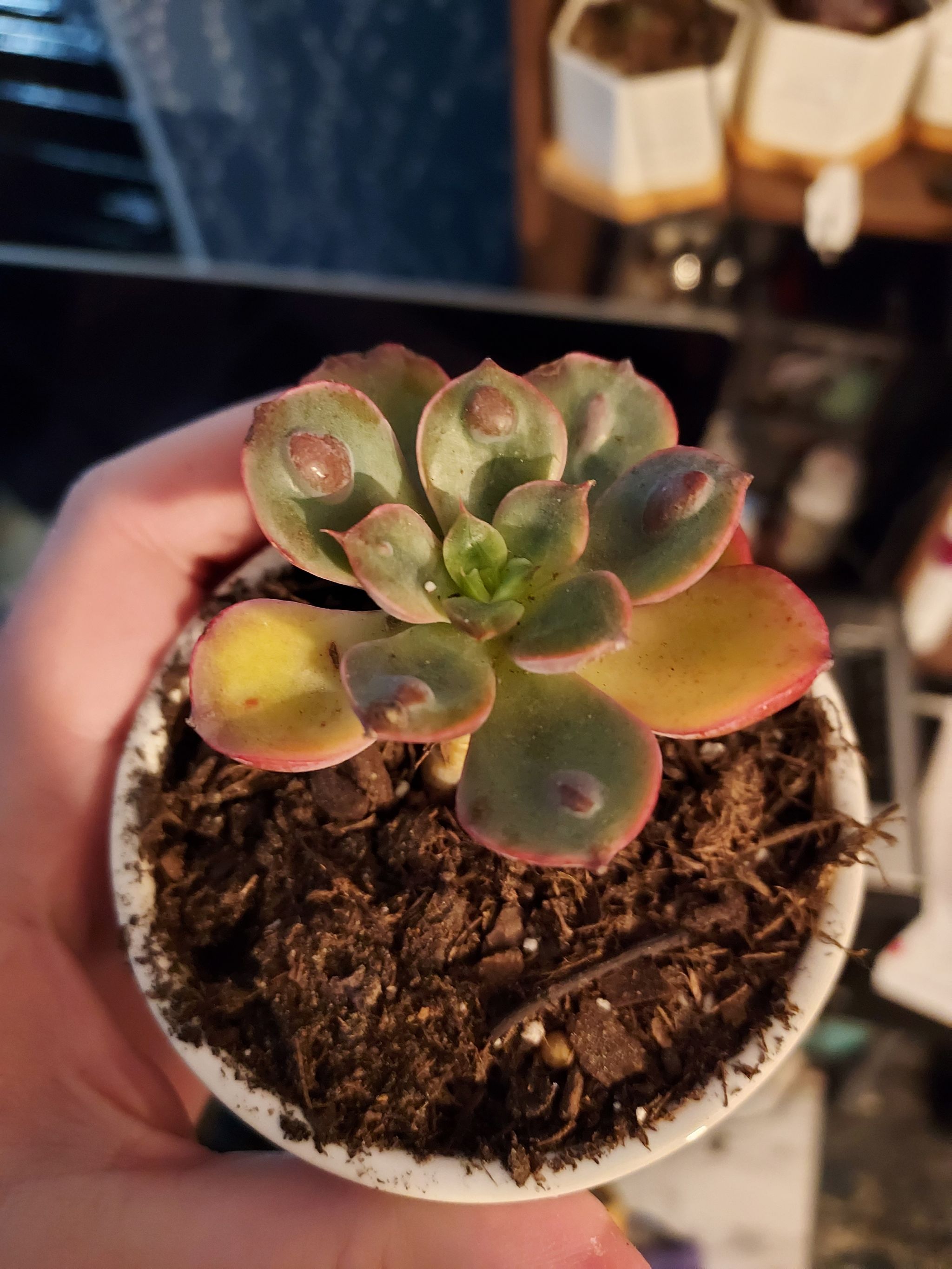 Photo from the post