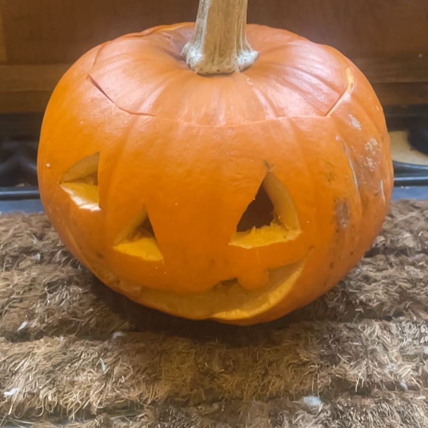 Carved pumpkin used as a Halloween decoration.