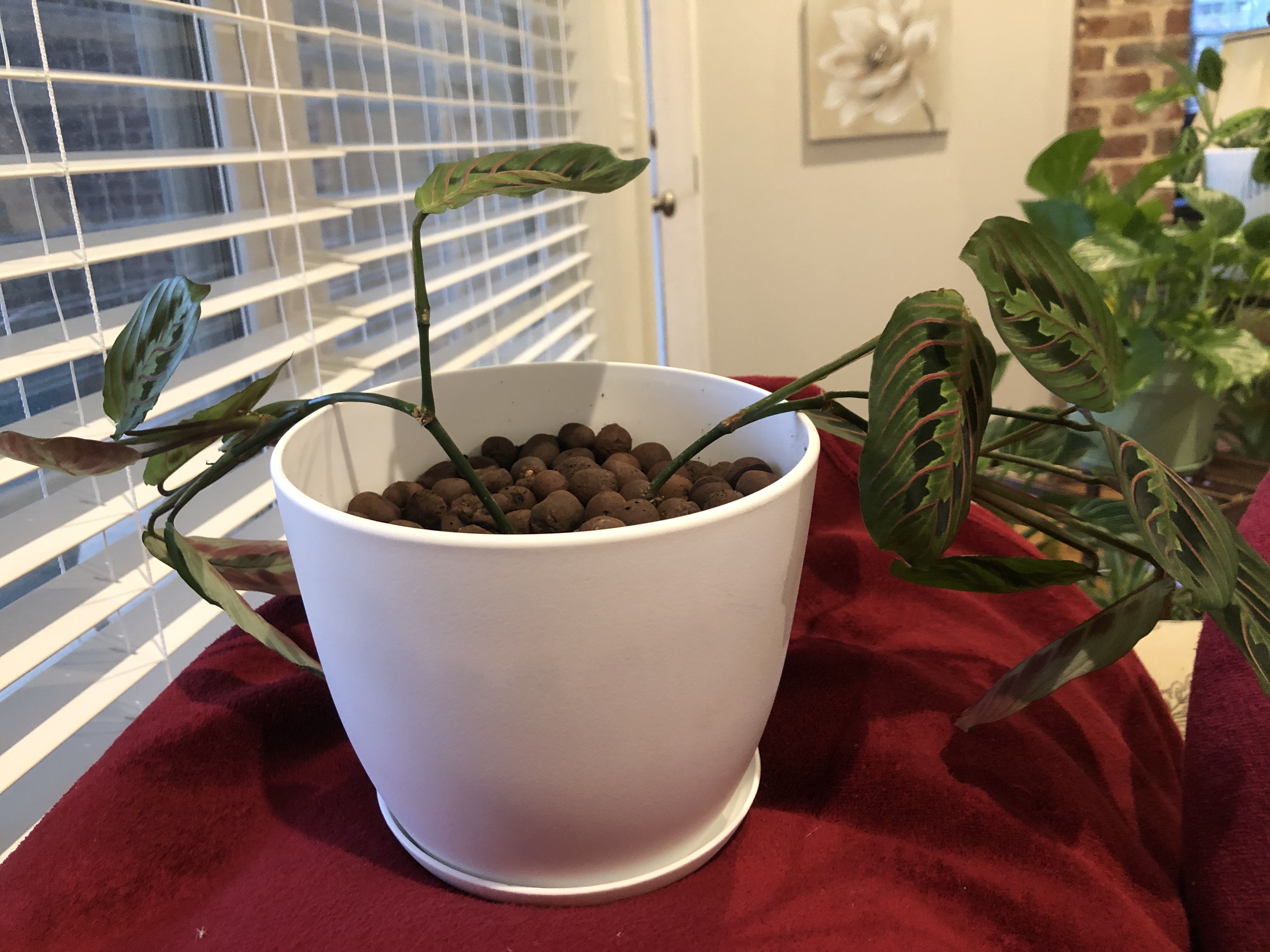 Photo from the post