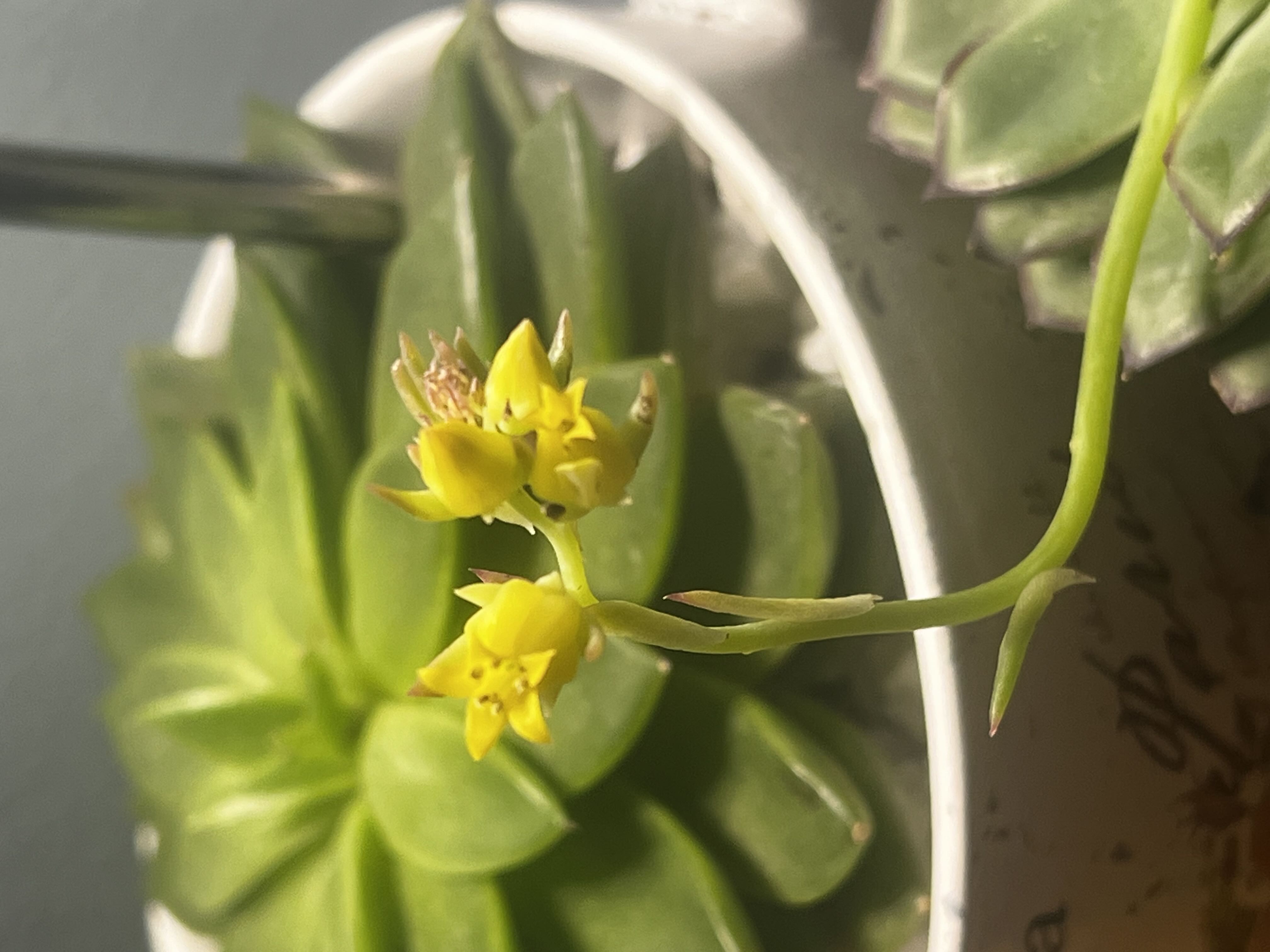 Photo from the post