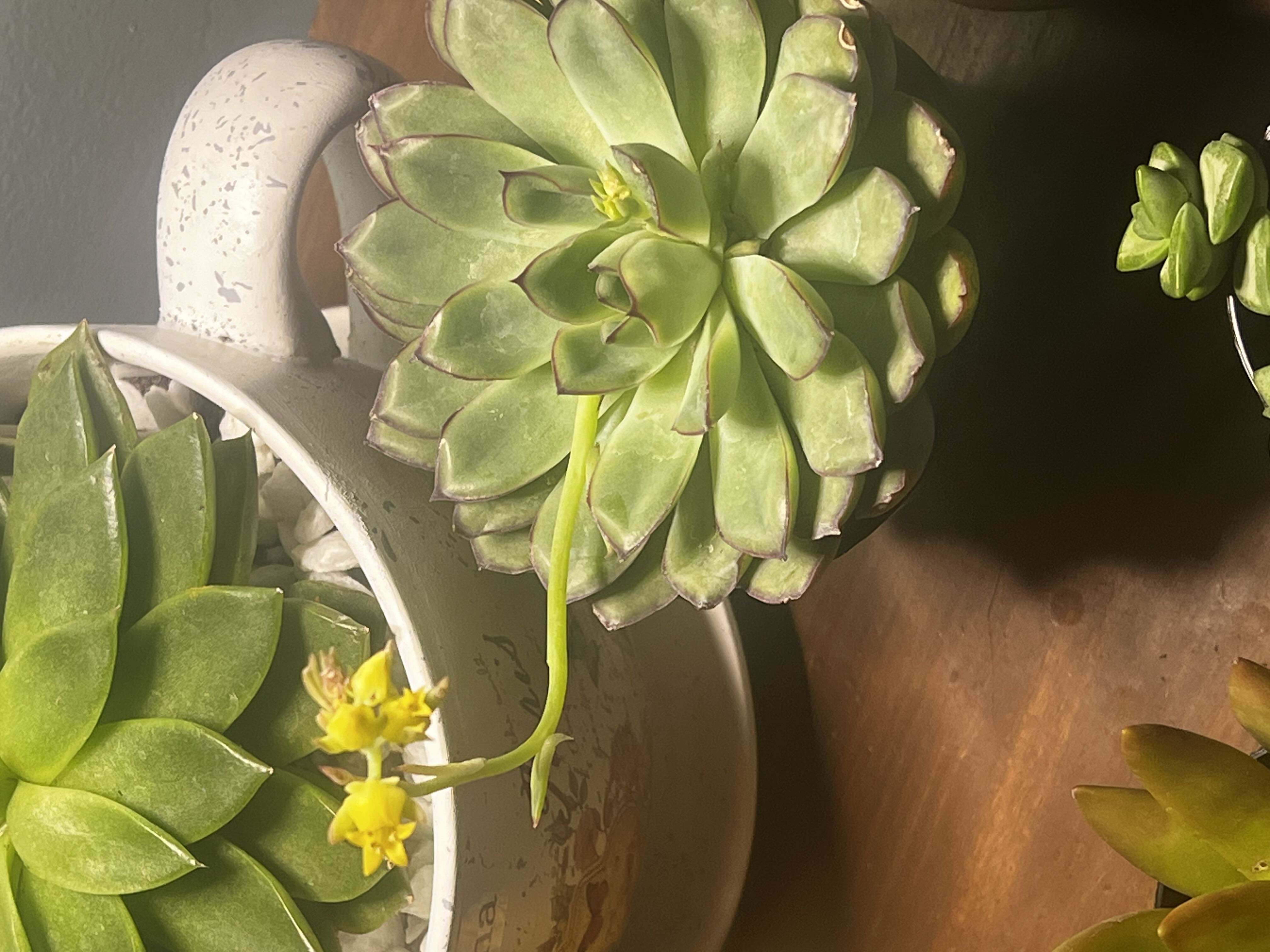 Photo from the post