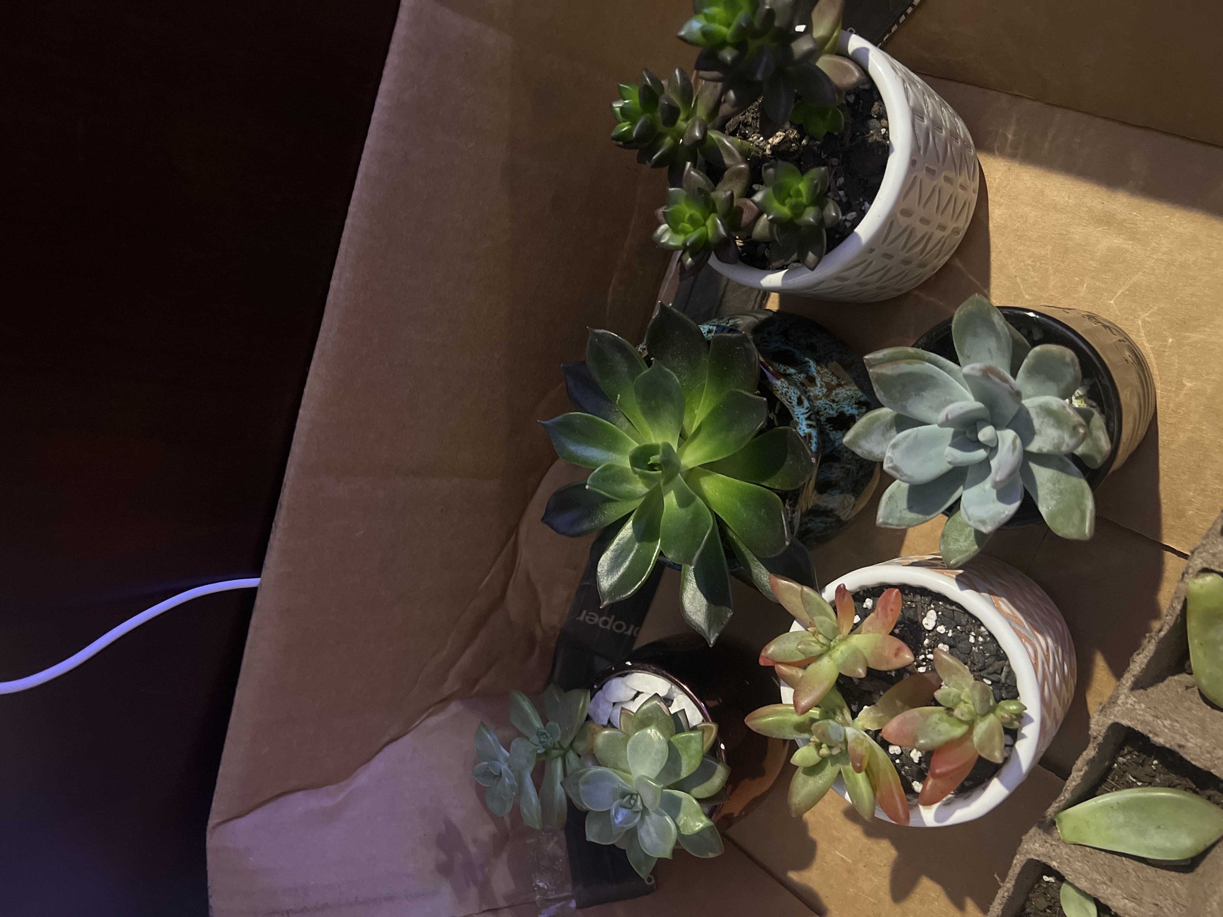 Photo from the post