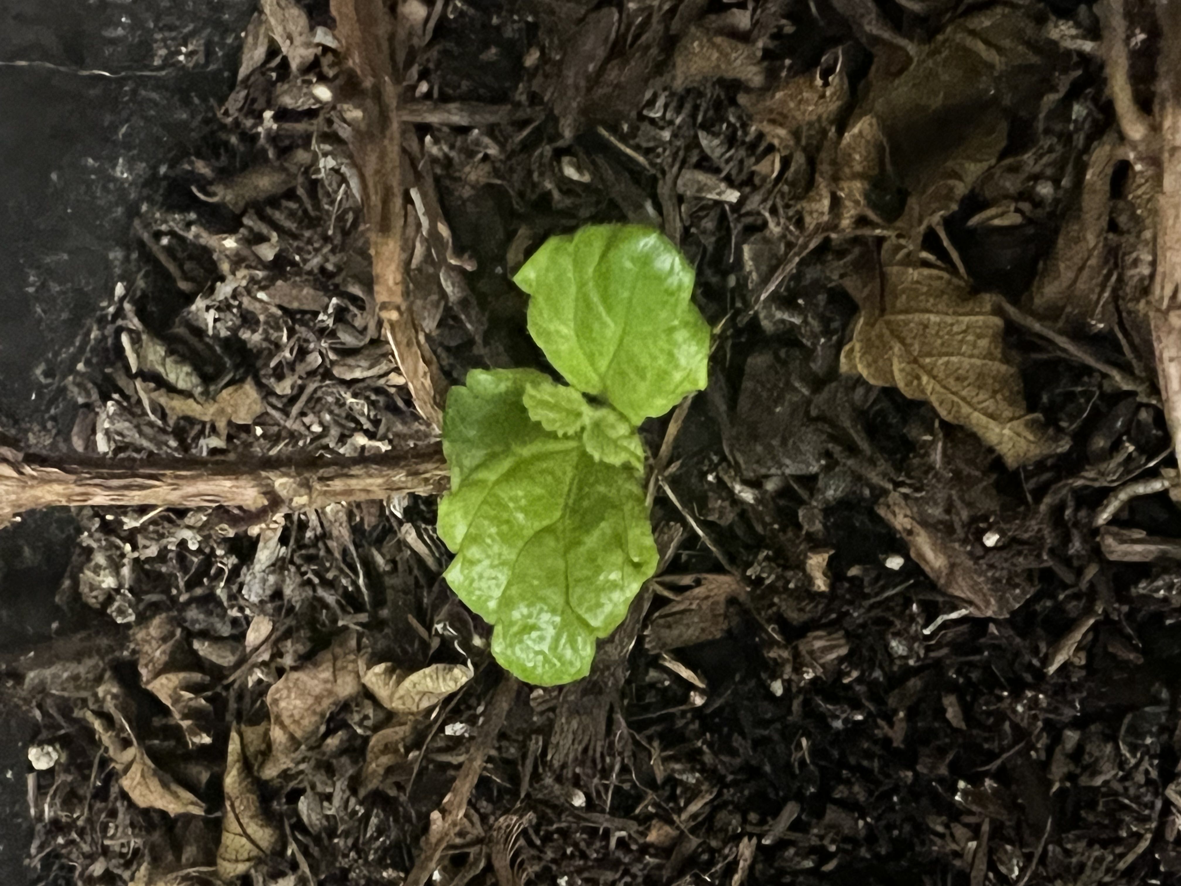 Photo from the post