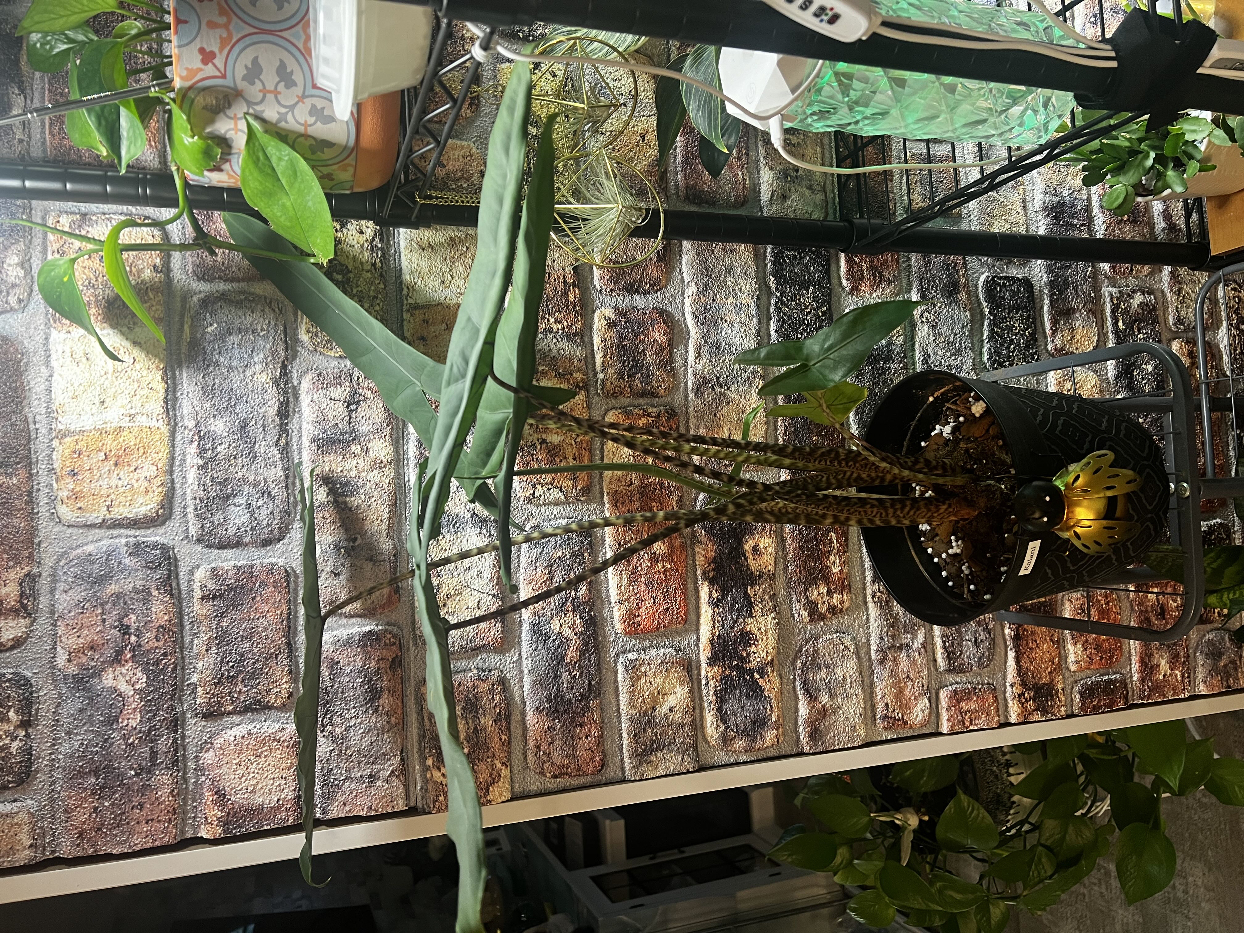 Photo from the post
