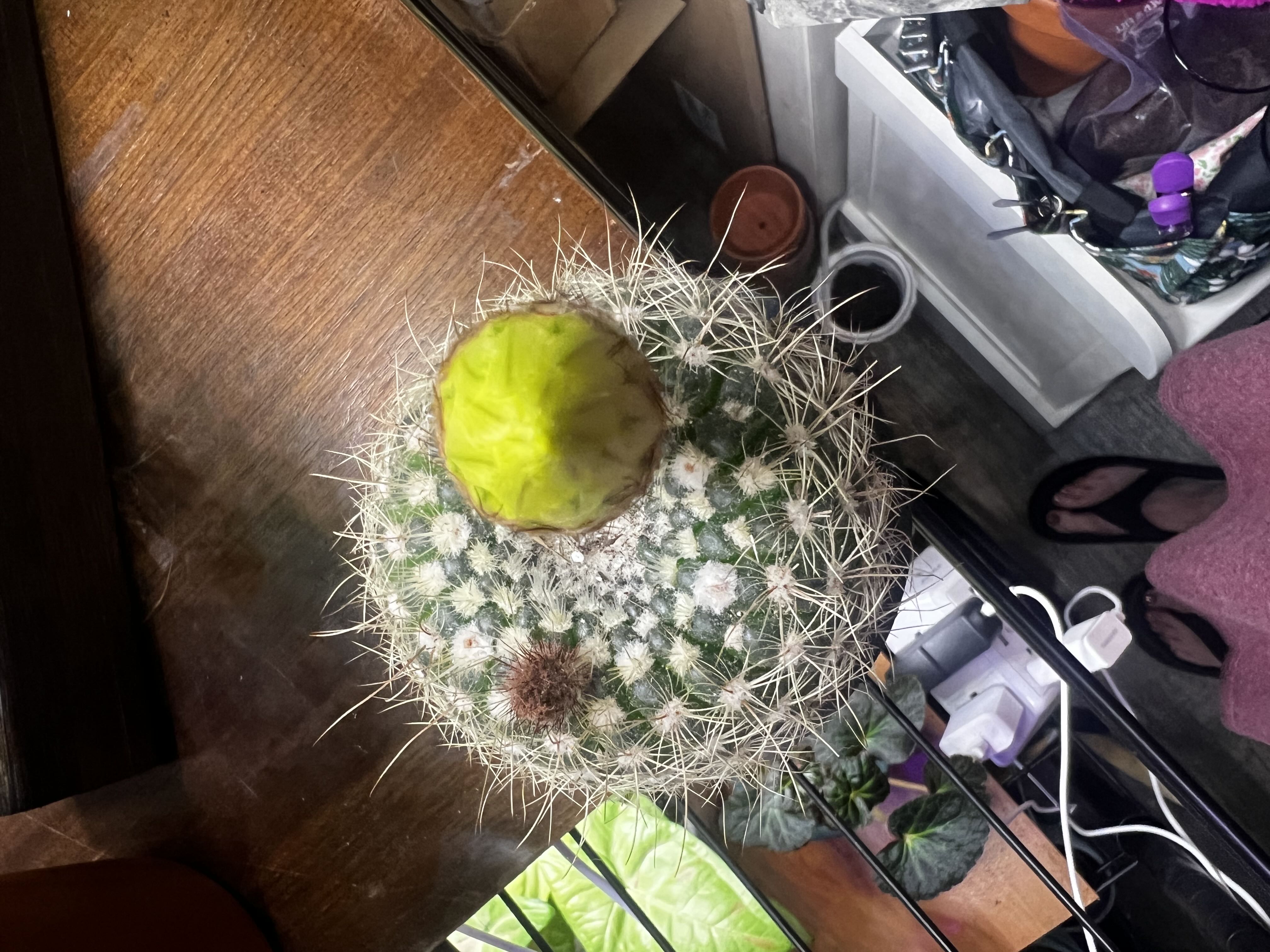 Photo from the post