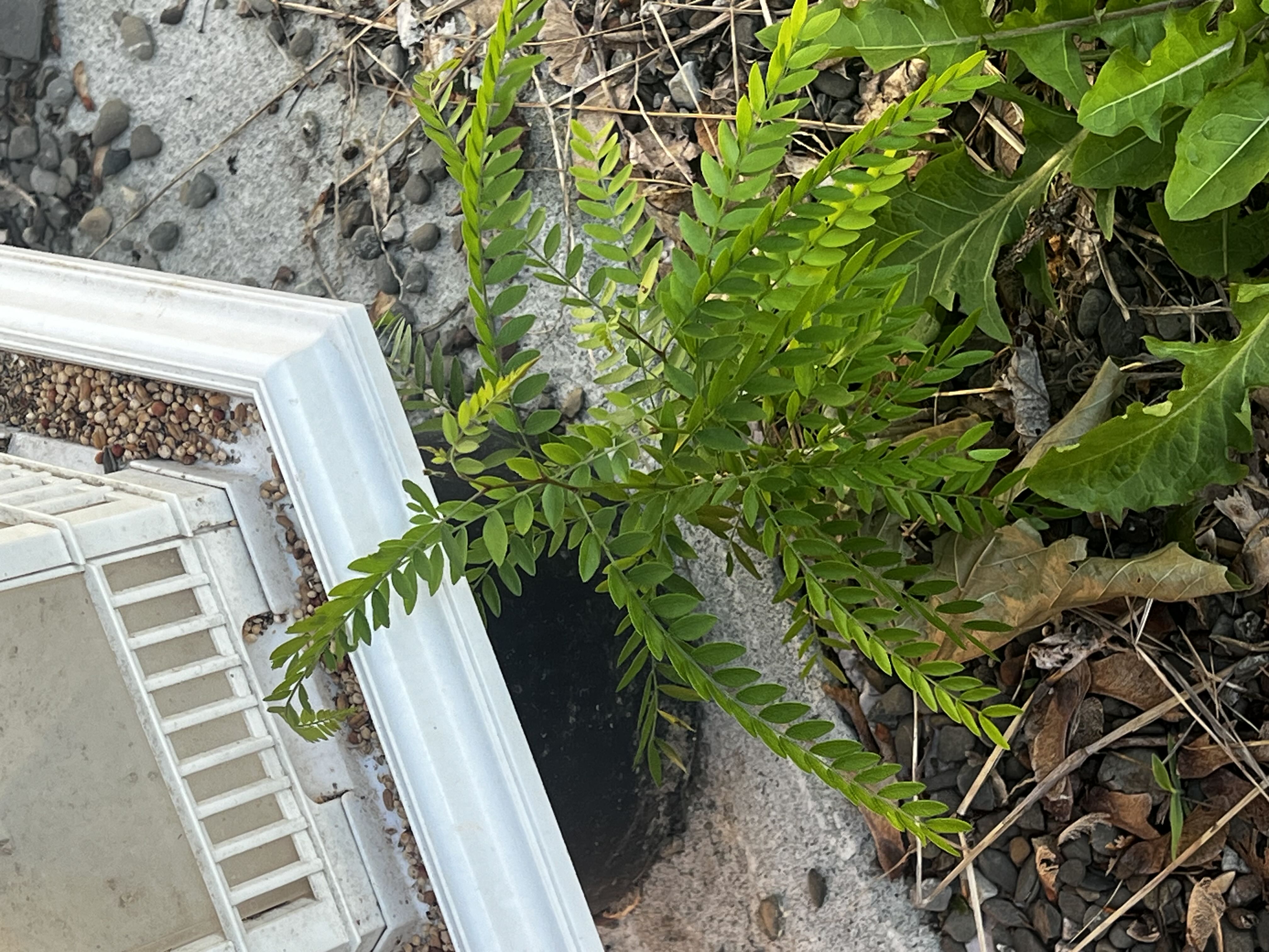 Photo from the post