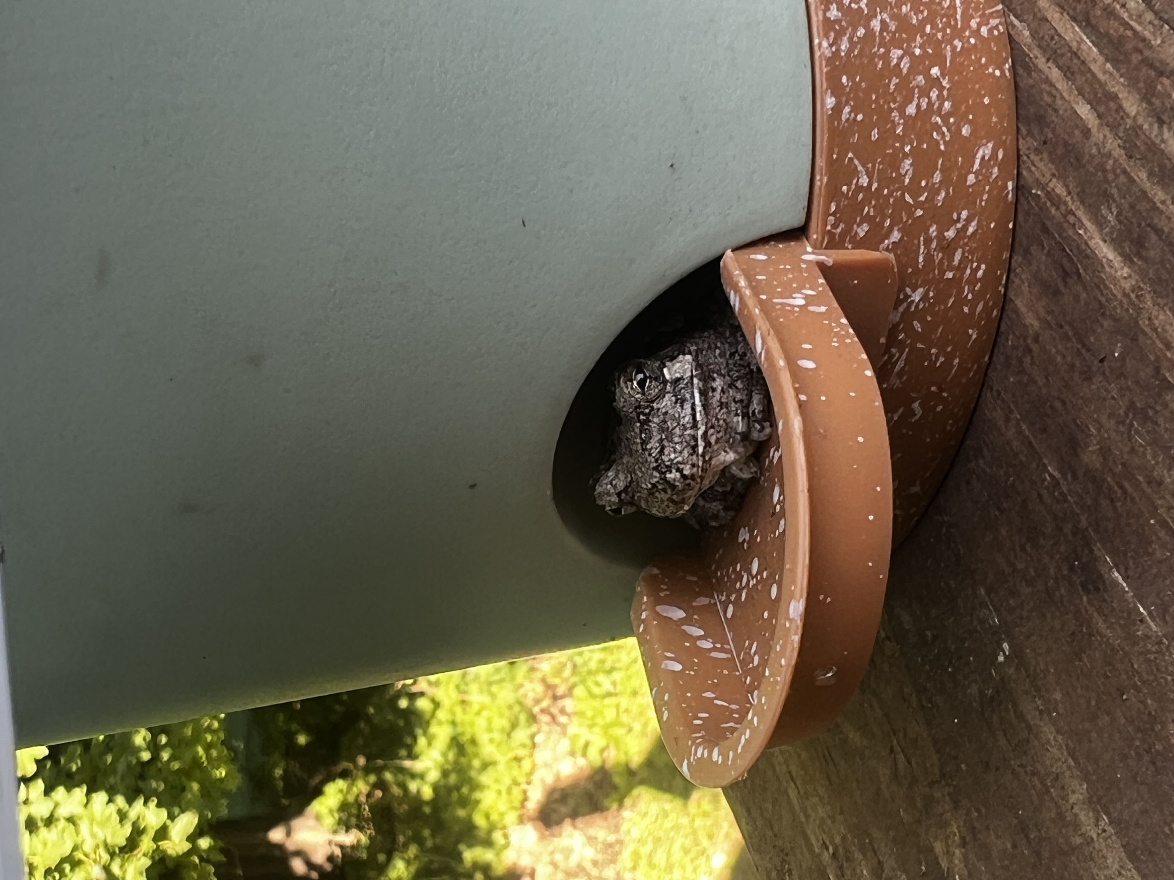 Photo from the post