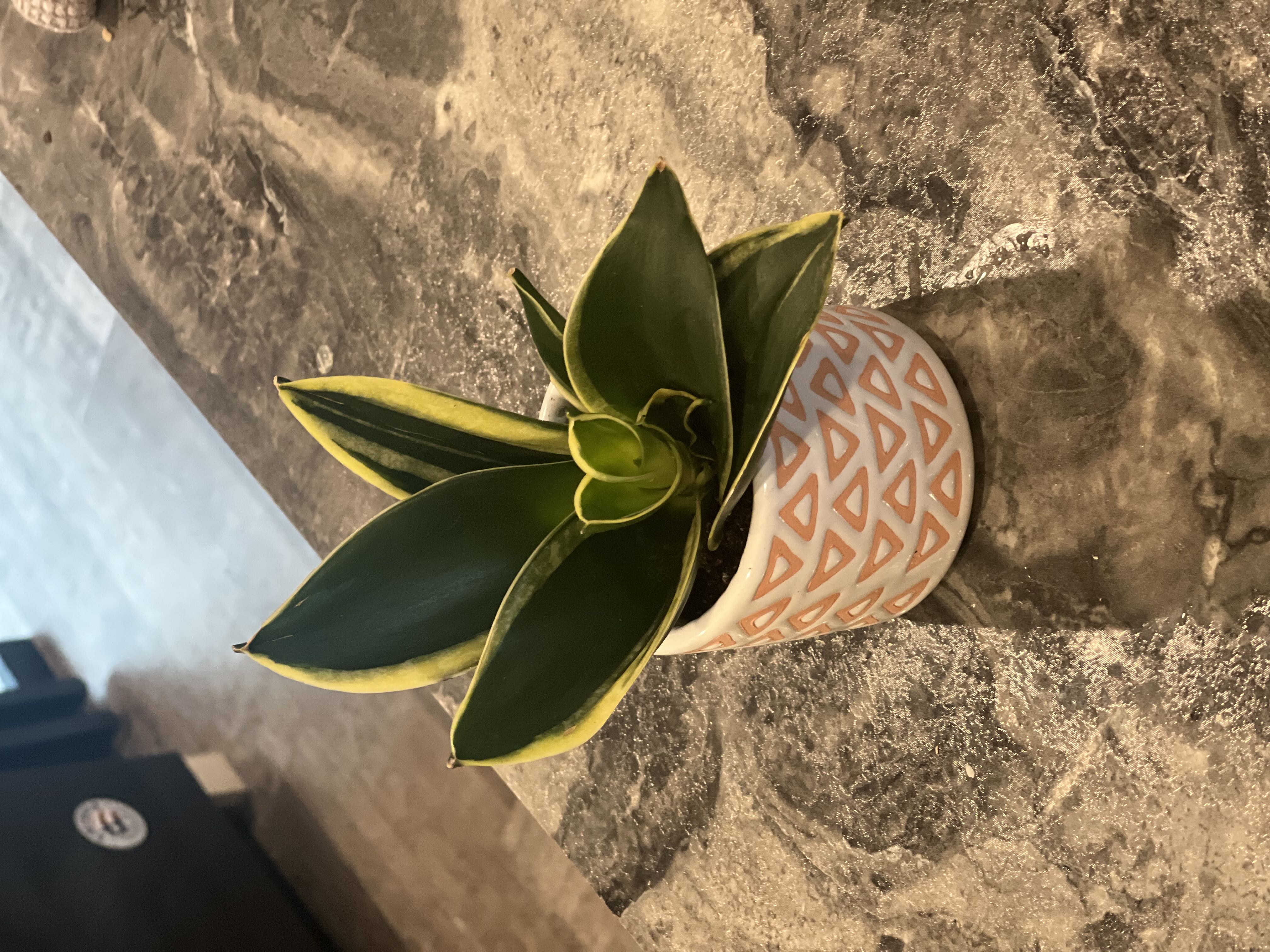 Photo from the post