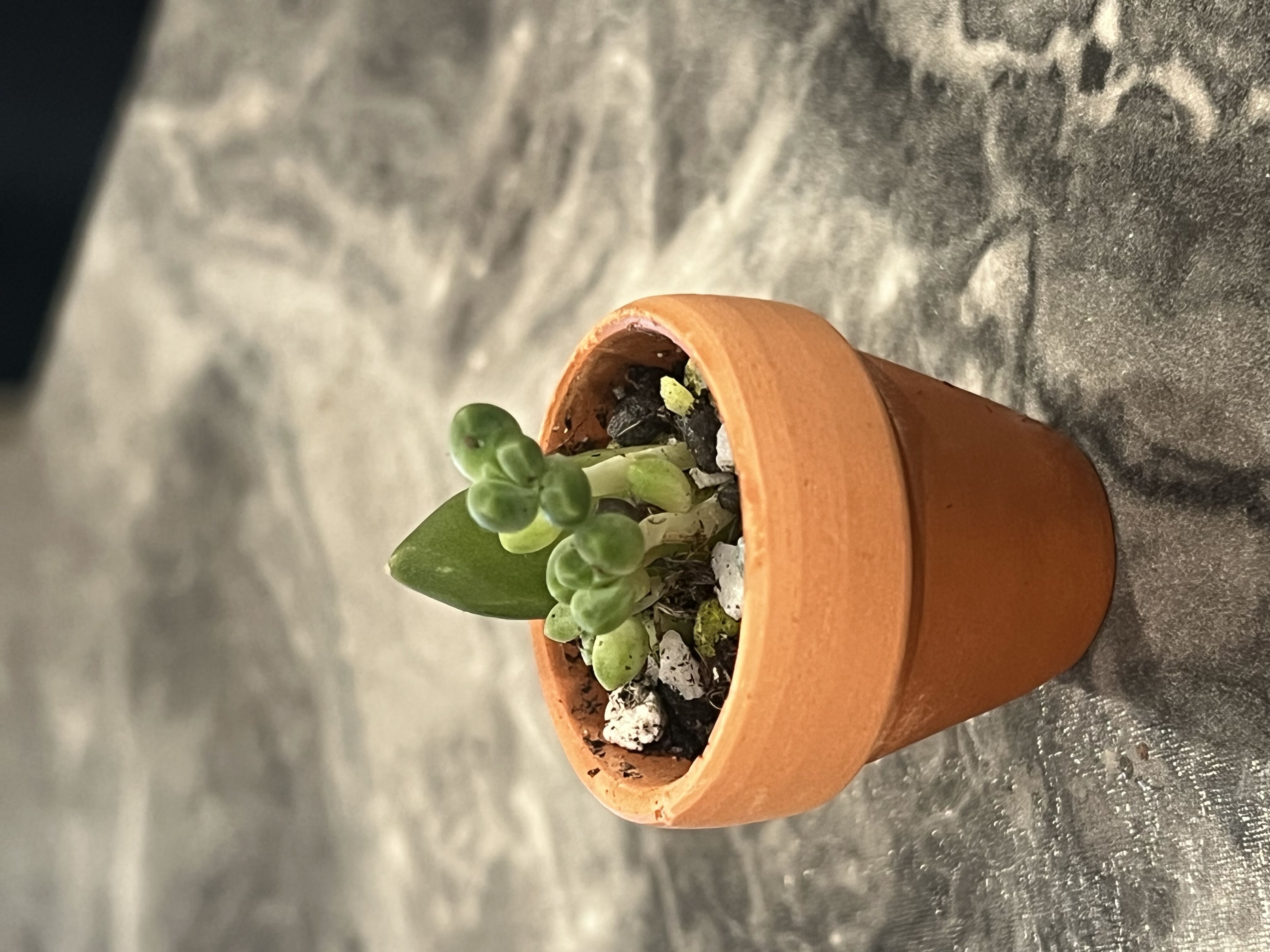 Photo from the post