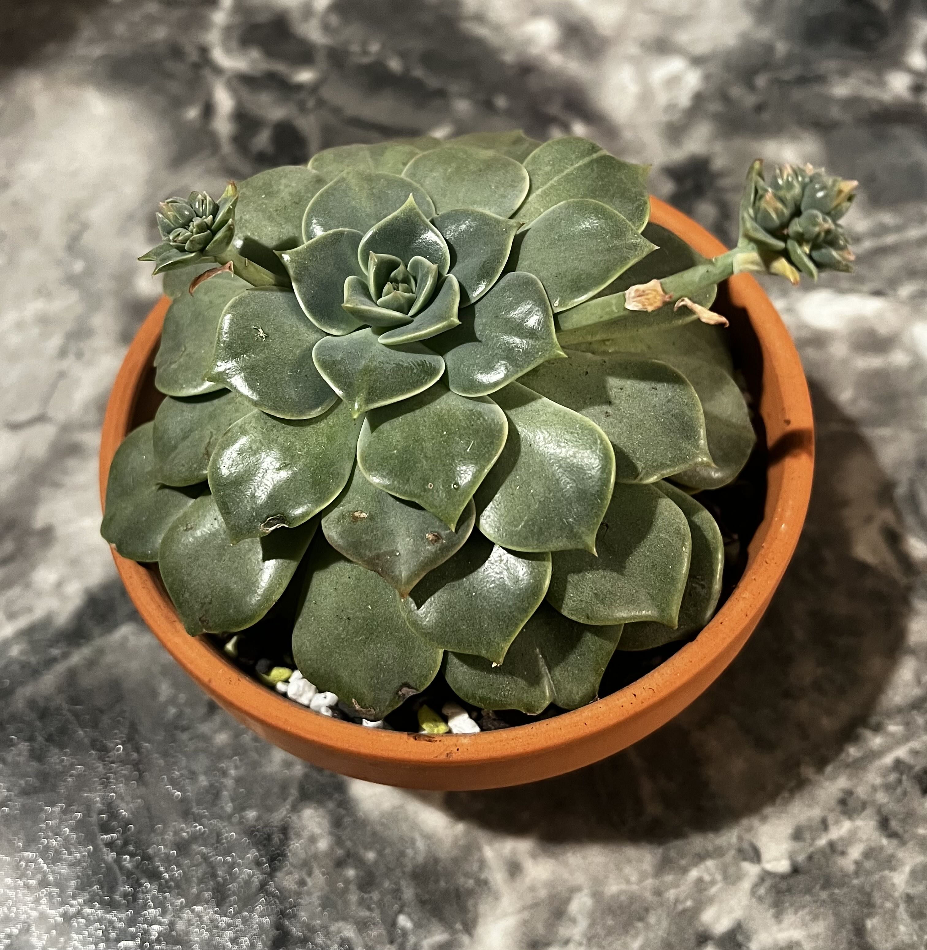 Photo from the post