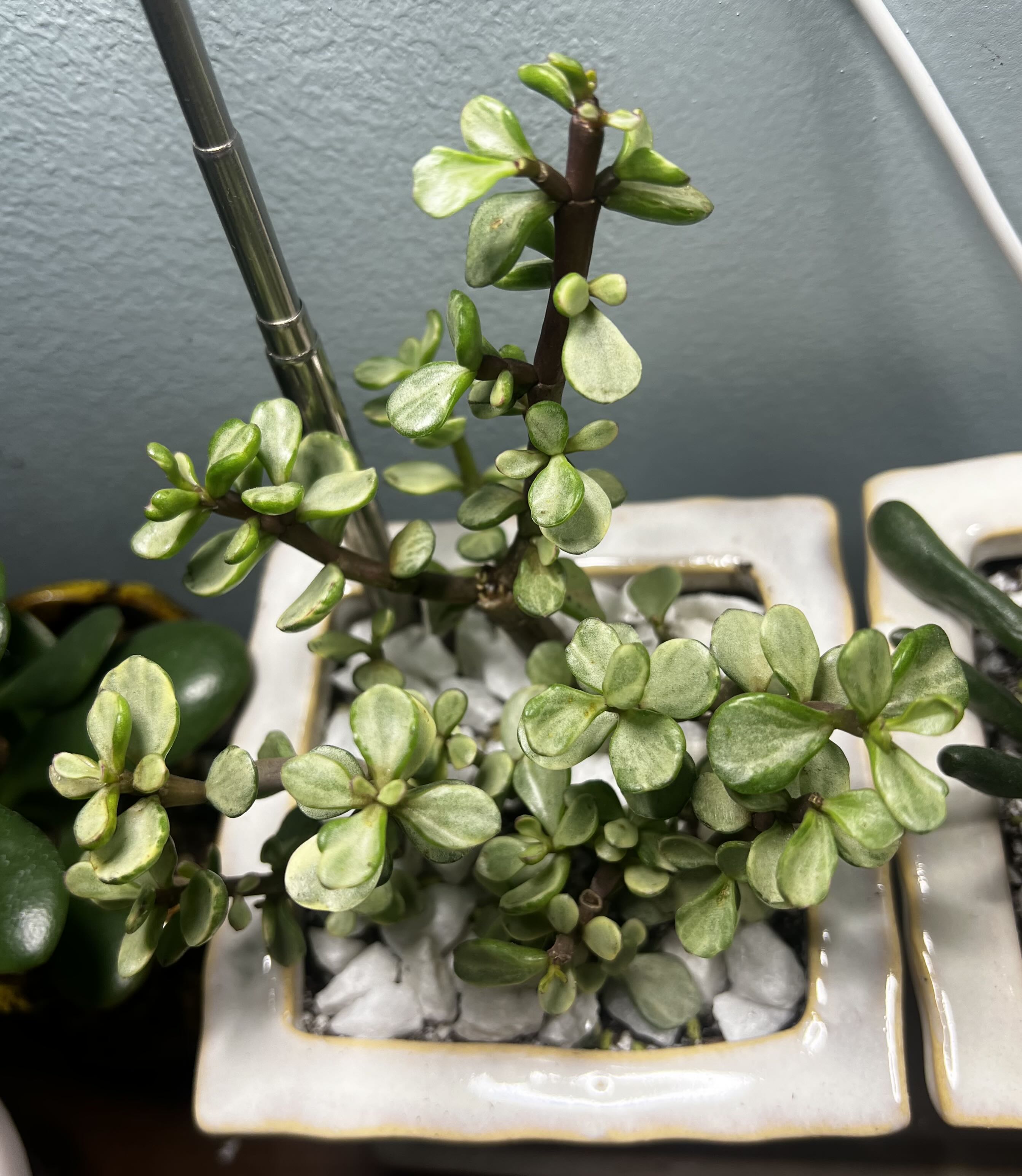 Photo from the post