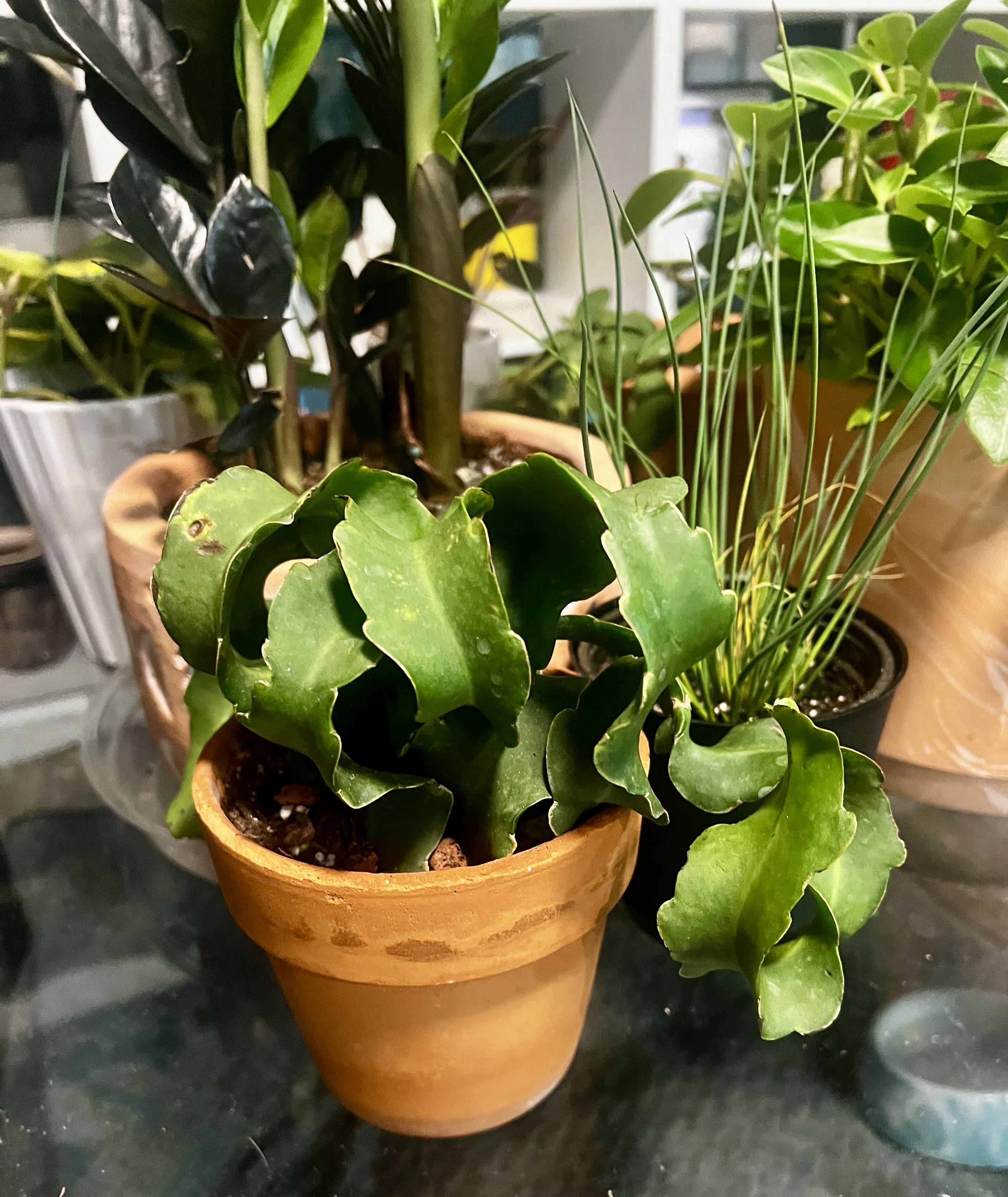 Photo from the post
