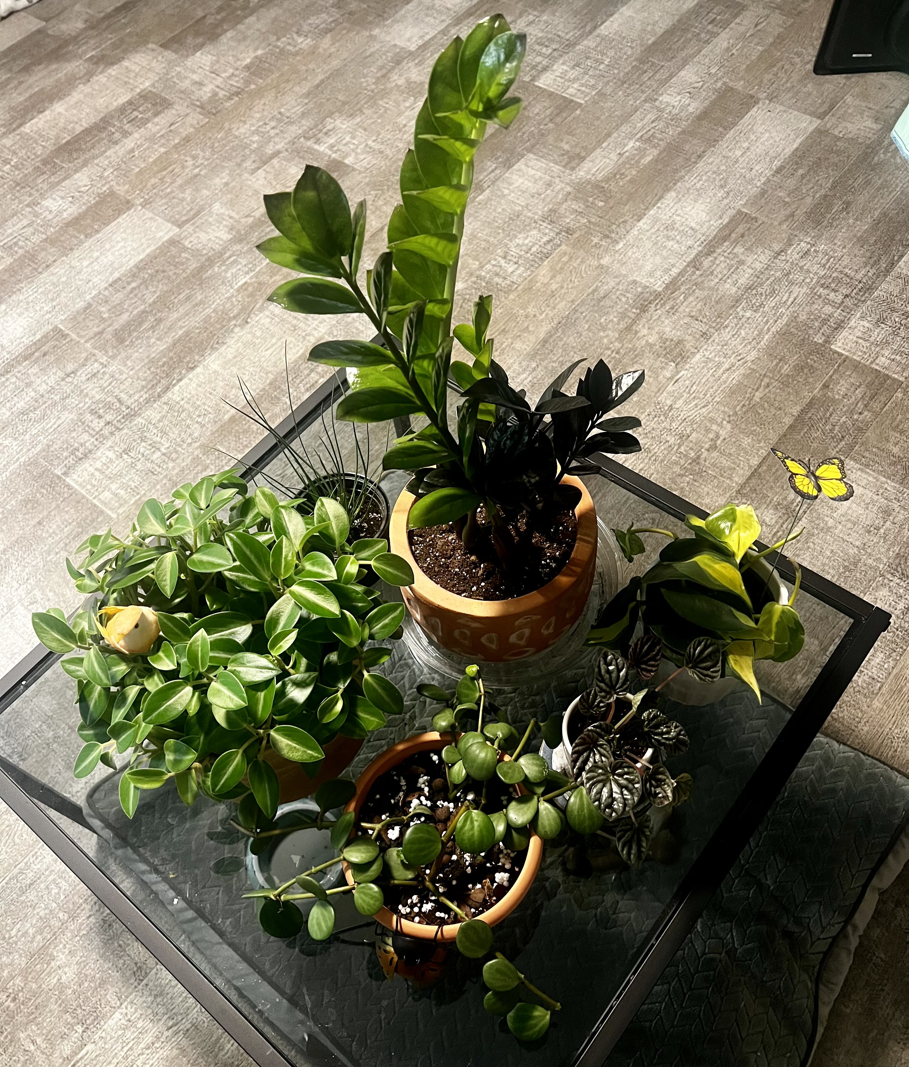 Photo from the post