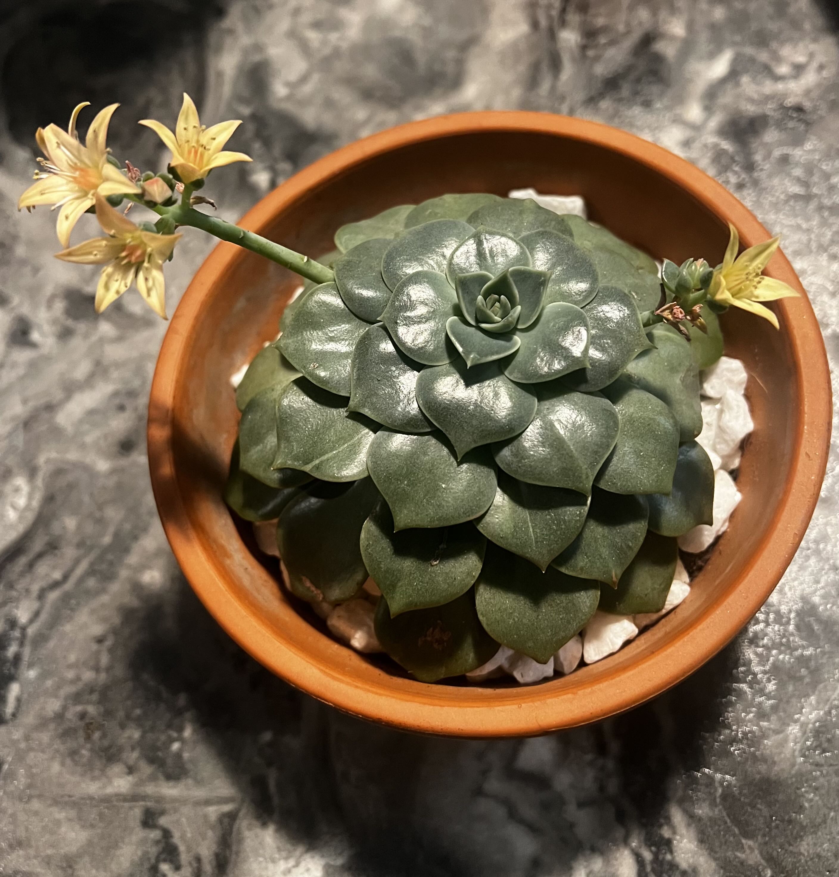 Photo from the post
